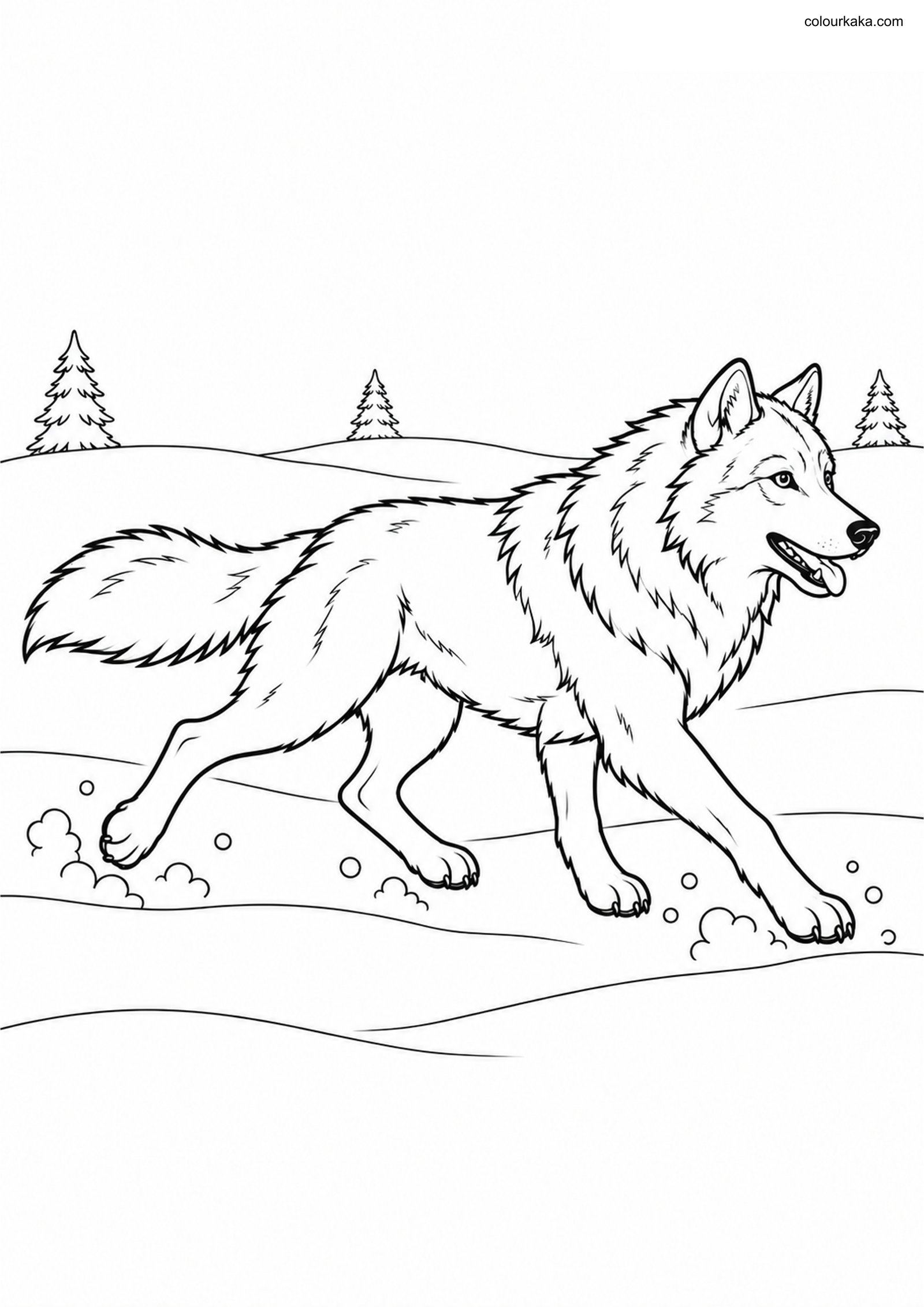 Gray Wolf Snow Running Page colouring page preview