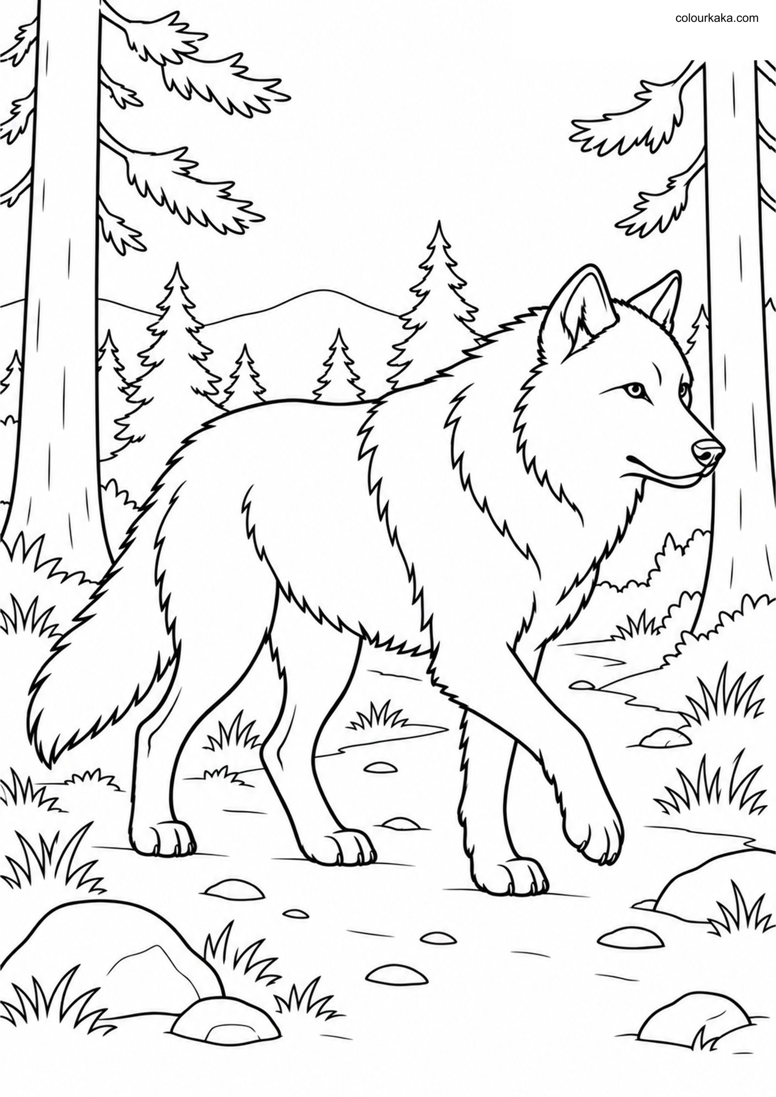 Gray Wolf Pine Forest Walk colouring page preview
