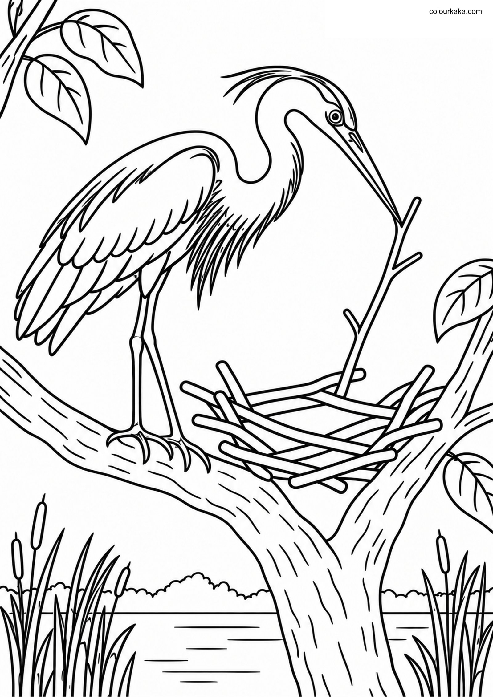 Heron Nest Building Colouring colouring page preview