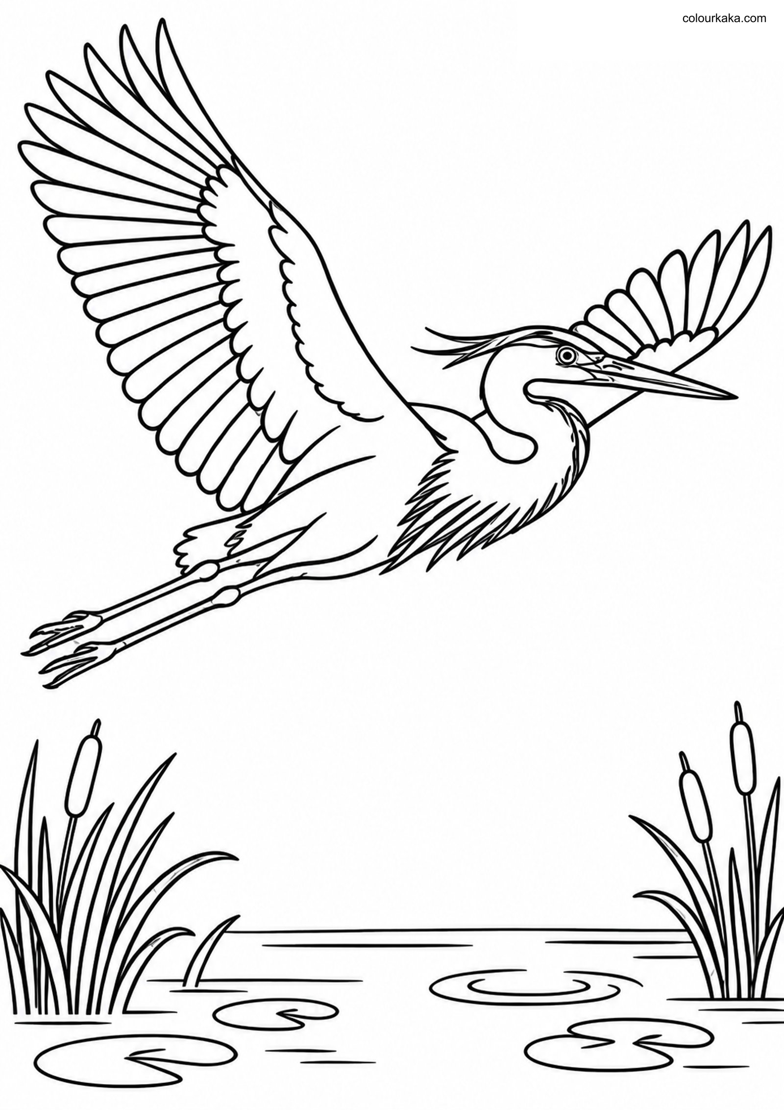 Flying Heron Wetland Colouring colouring page preview