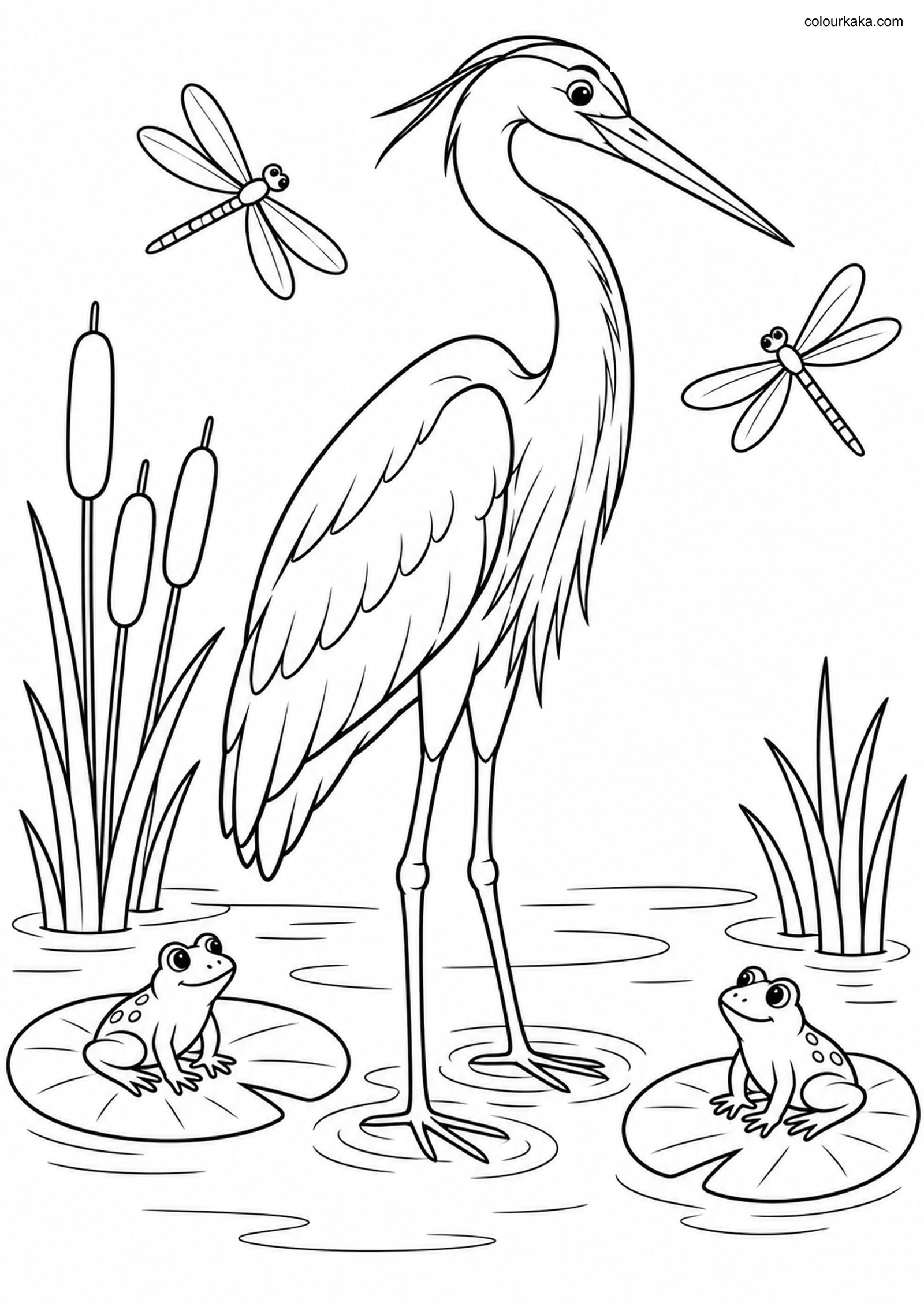 Heron Frogs and Dragonflies colouring page preview