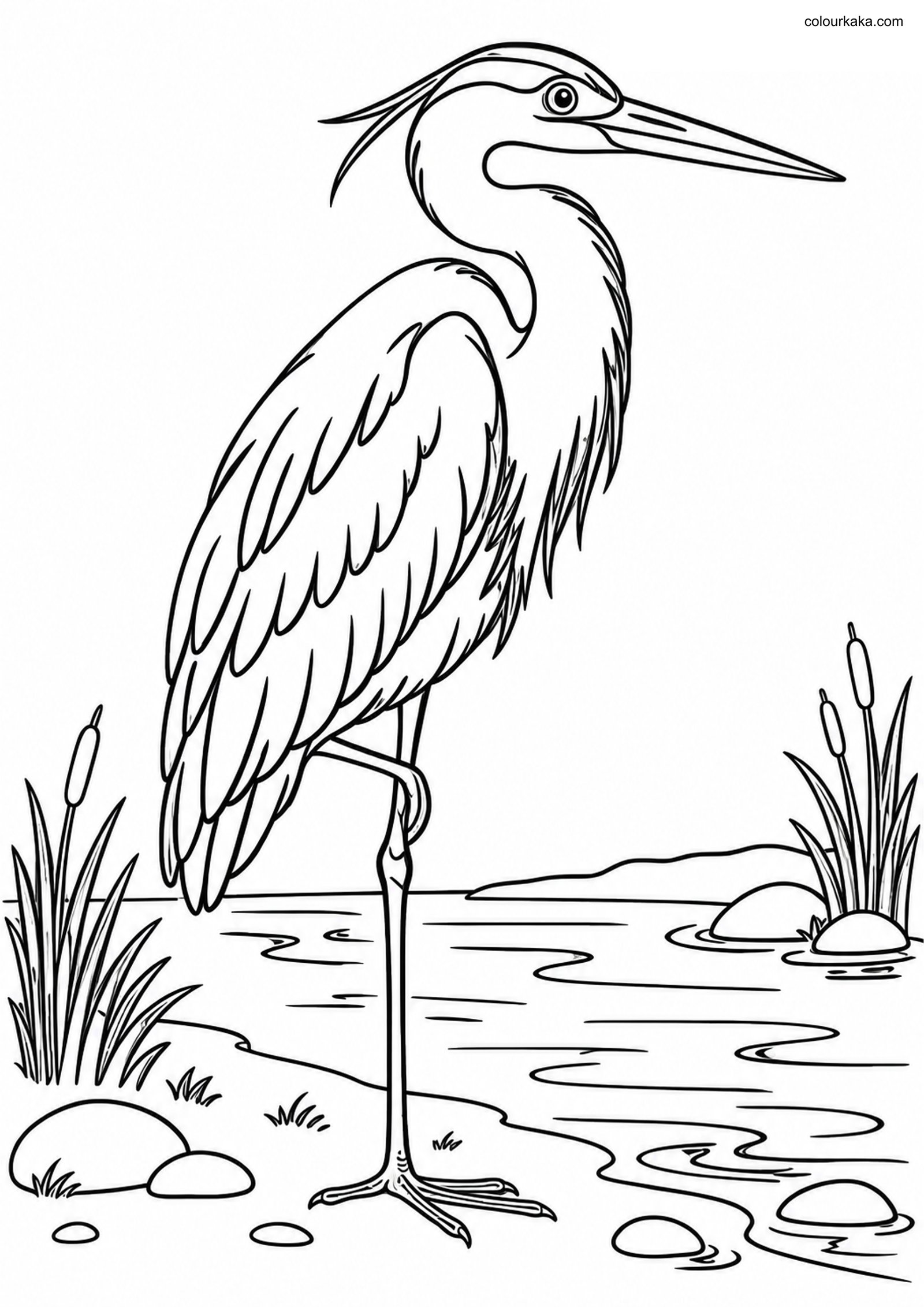 Heron Riverbank Colouring Page colouring page preview