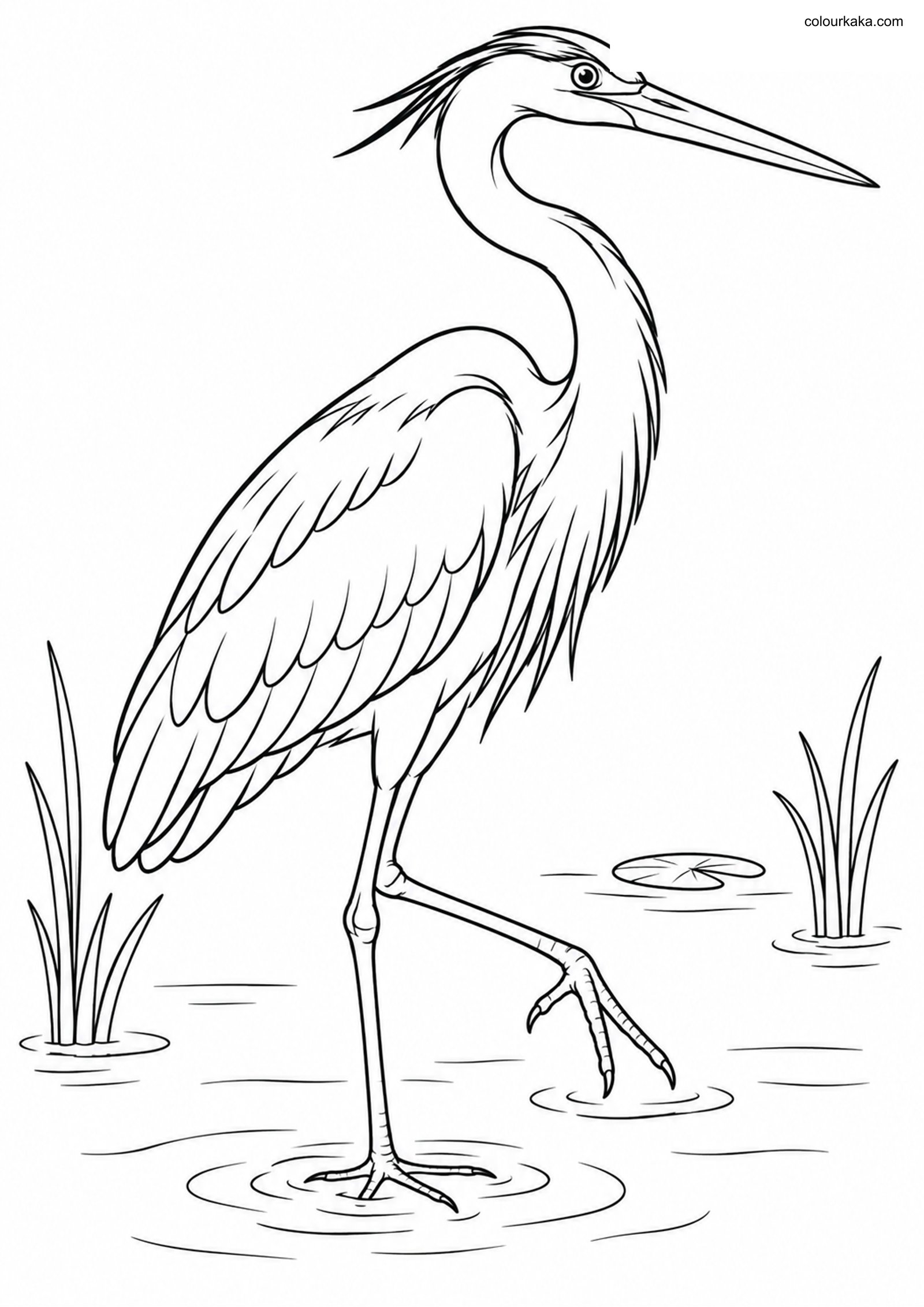 Great Blue Heron Wading Page colouring page preview