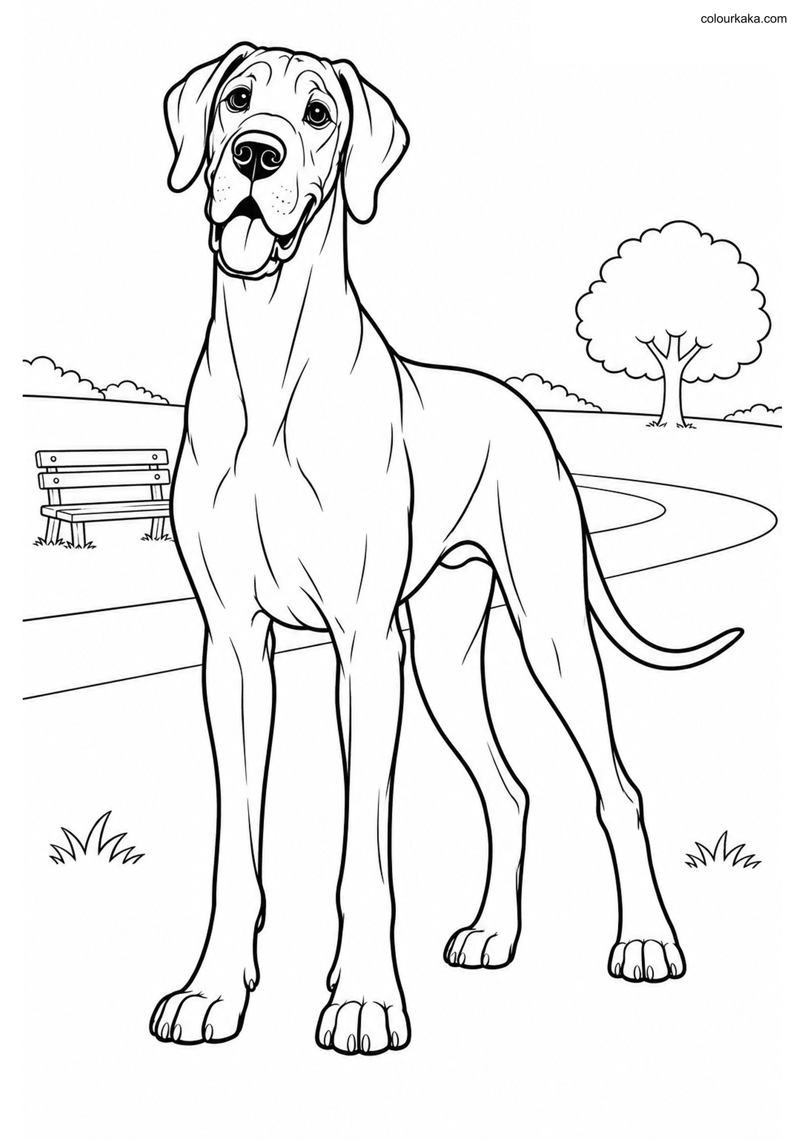 Great Dane Colouring Sheet colouring page preview