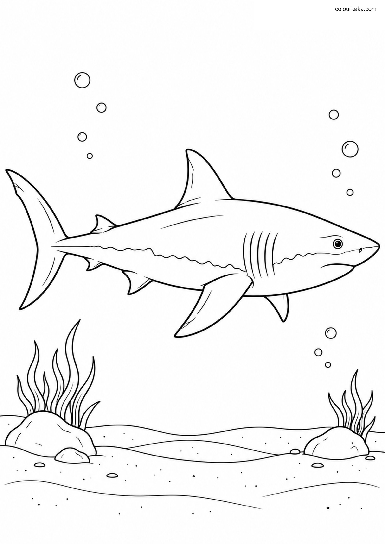 Great White Shark Colouring colouring page preview