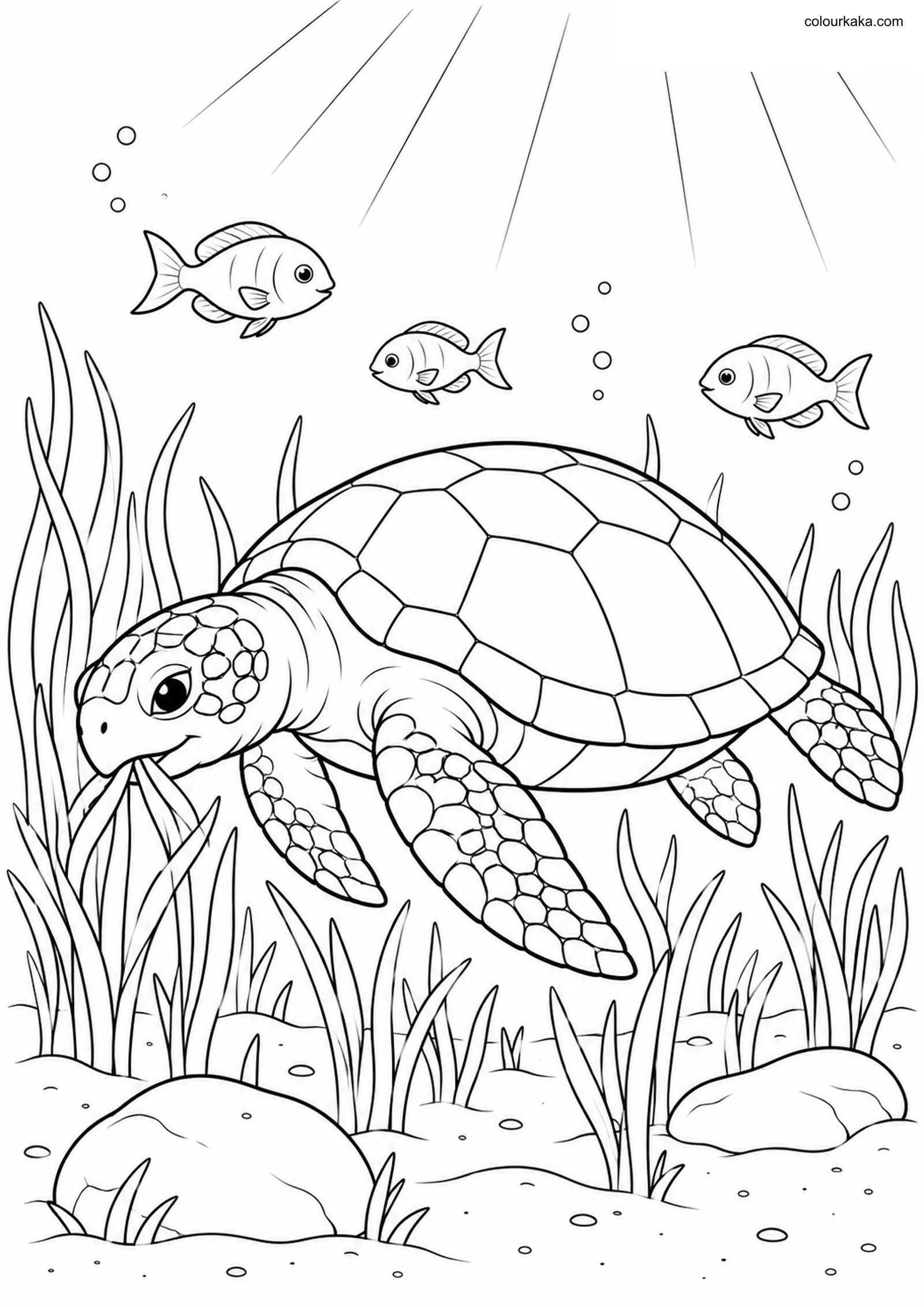 Green Sea Turtle Colouring colouring page preview