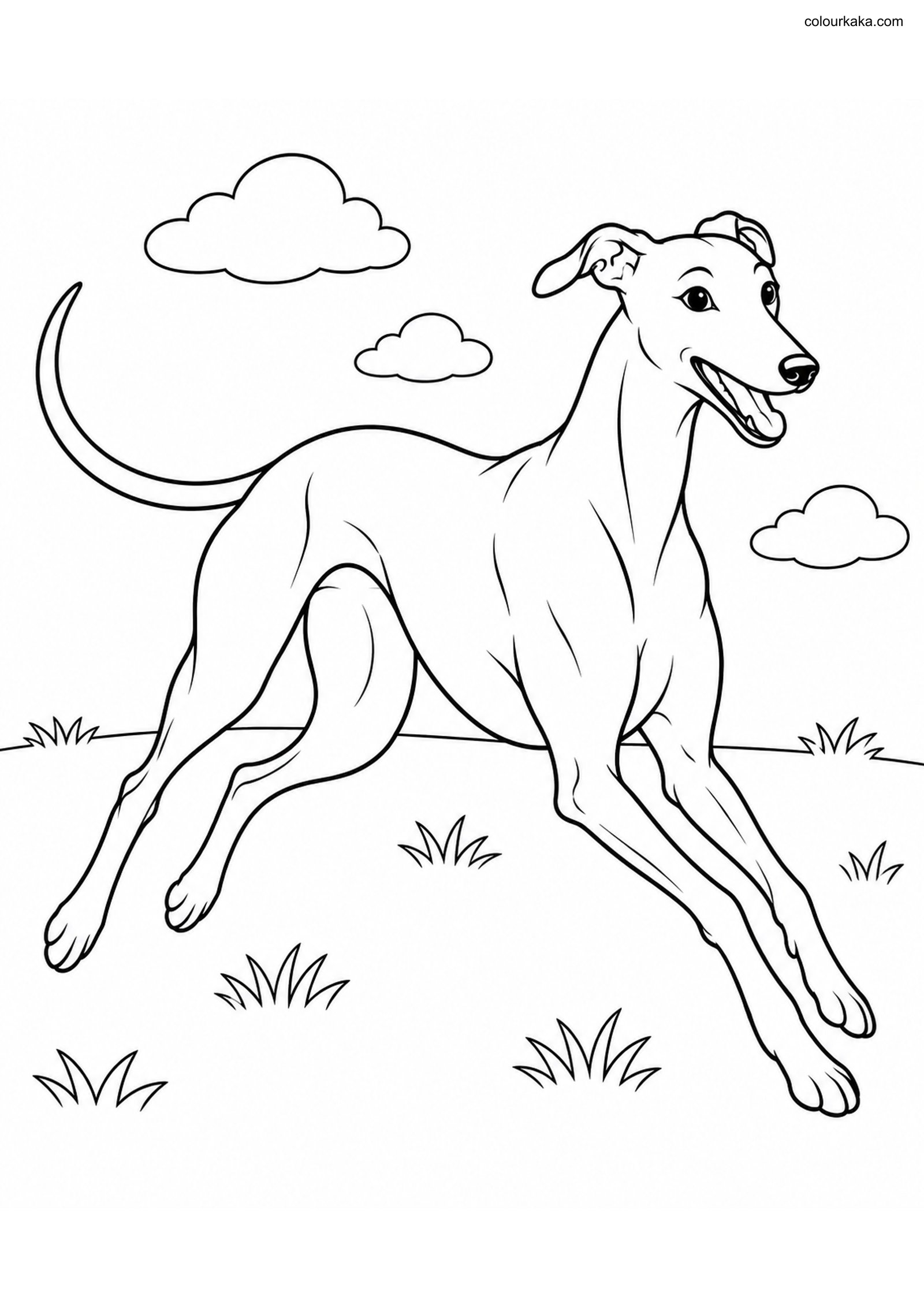 Greyhound Dog Colouring Page colouring page preview