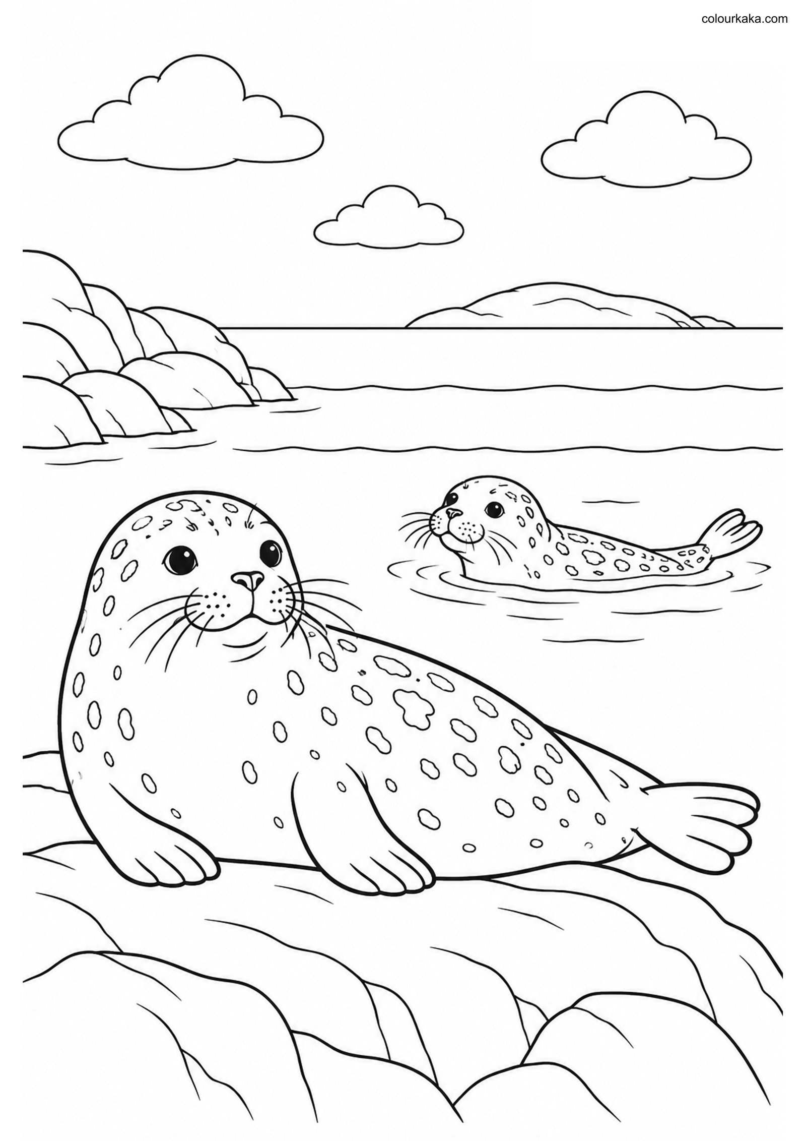 Harbour Seal Coast Colouring colouring page preview