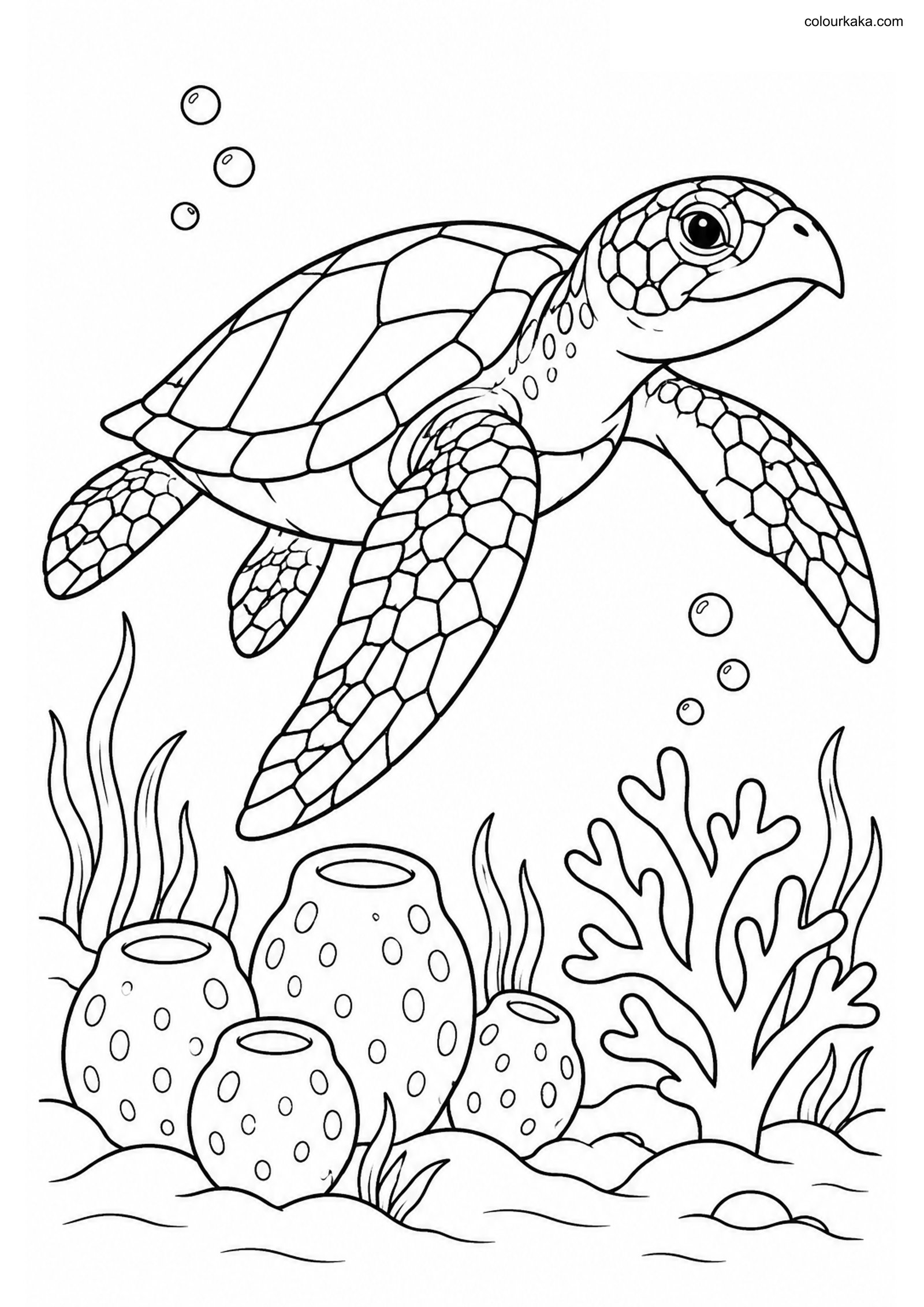 Hawksbill Turtle Colouring Page colouring page preview