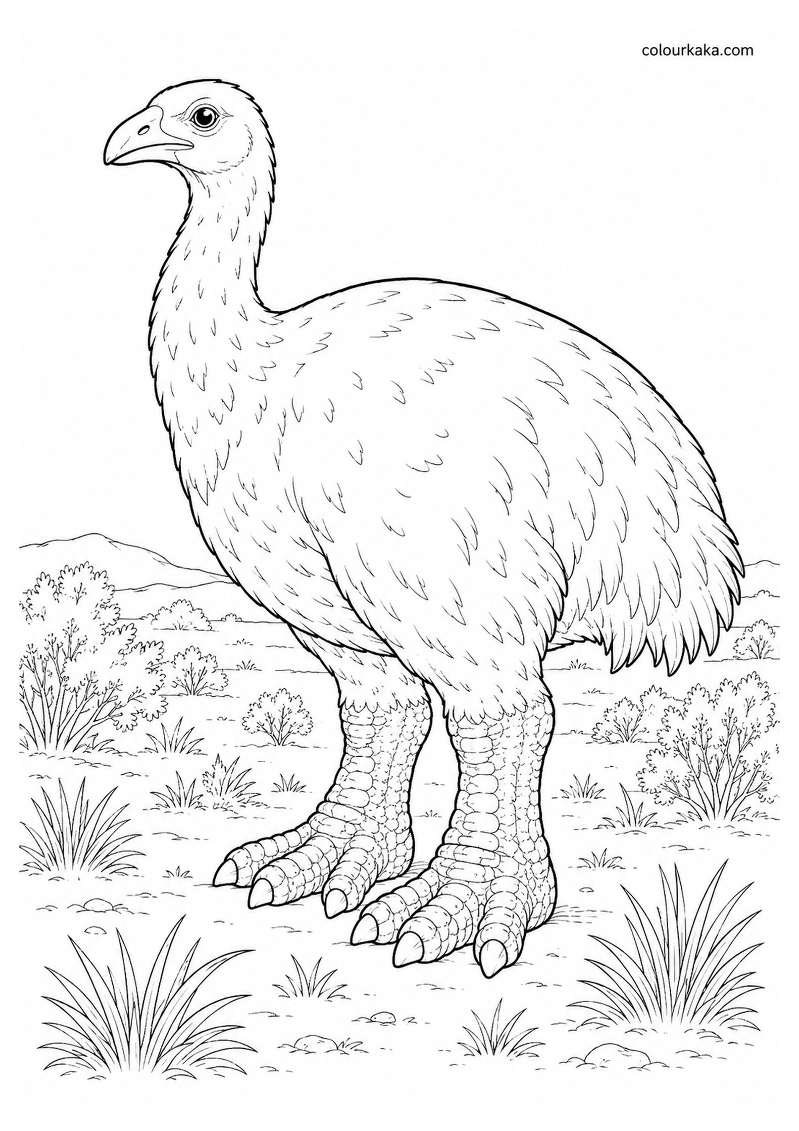 Heavy-footed Moa Colouring Page colouring page preview