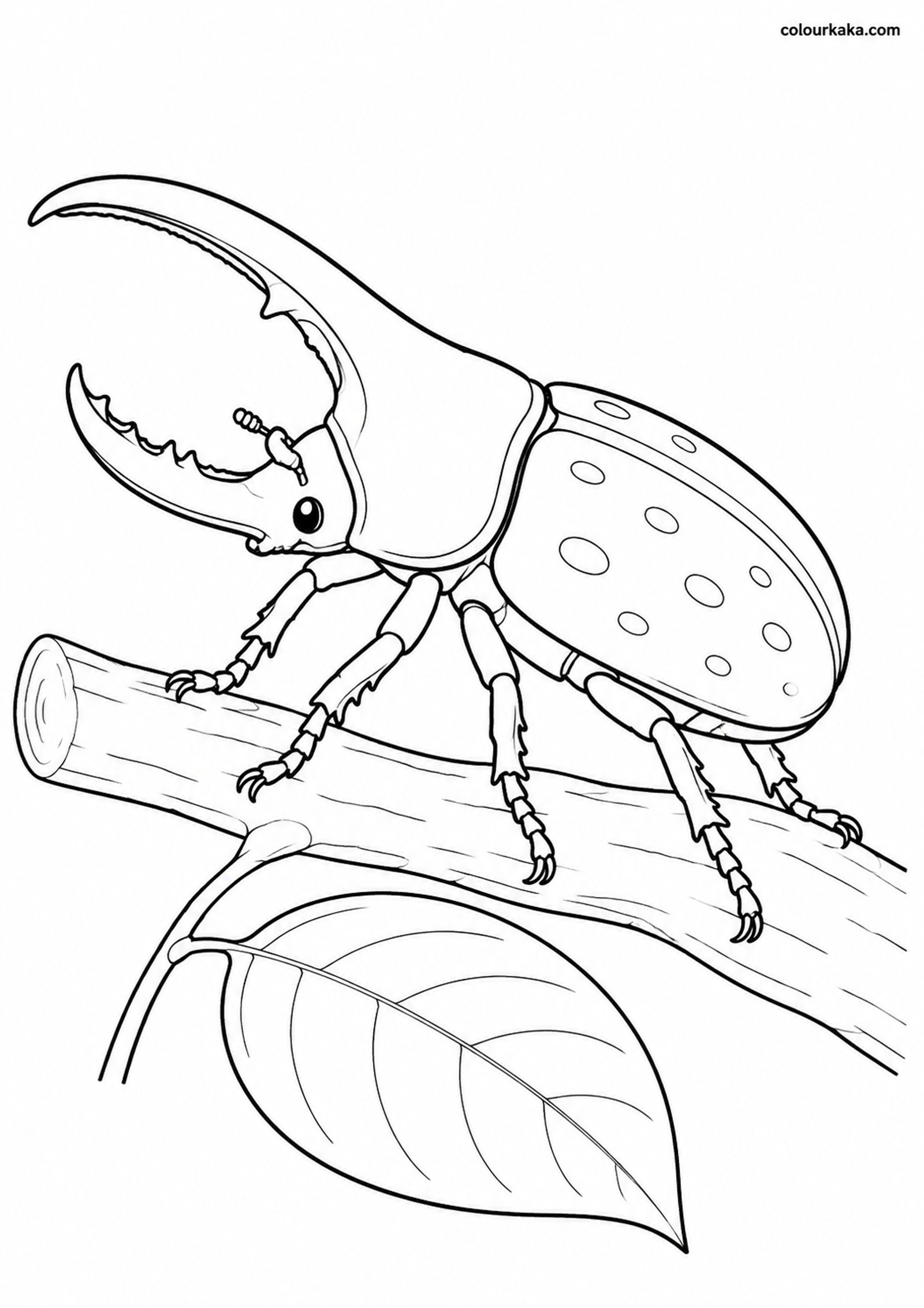 Hercules Beetle Colouring Page colouring page preview