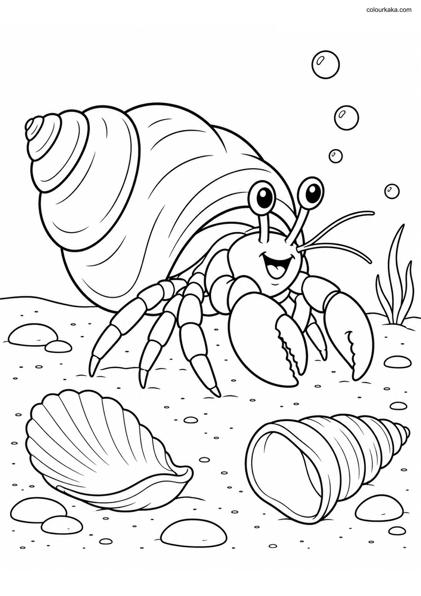 Hermit Crab Shell Colouring colouring page preview
