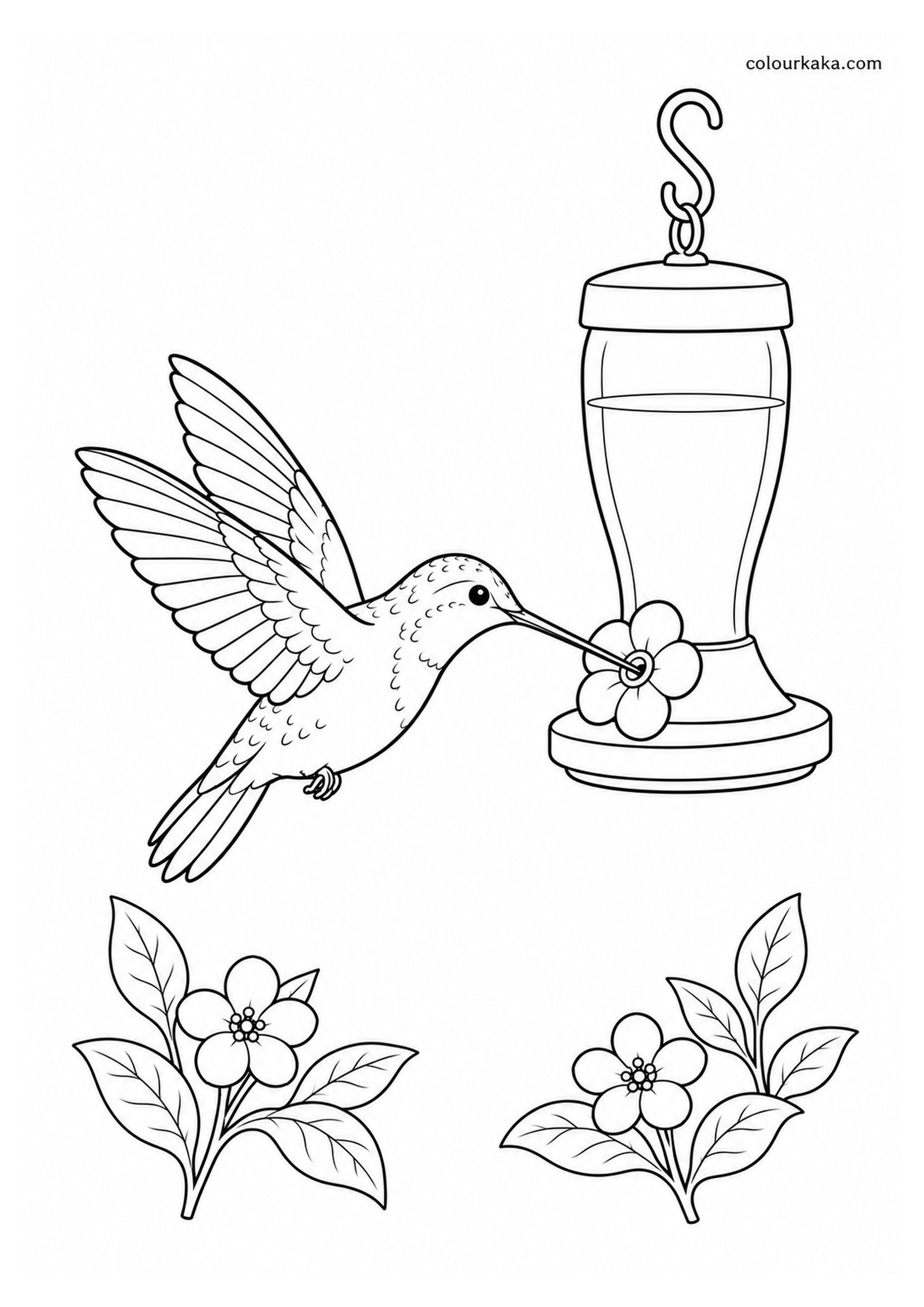 Hummingbird Garden Feeder Colouring Page colouring page preview