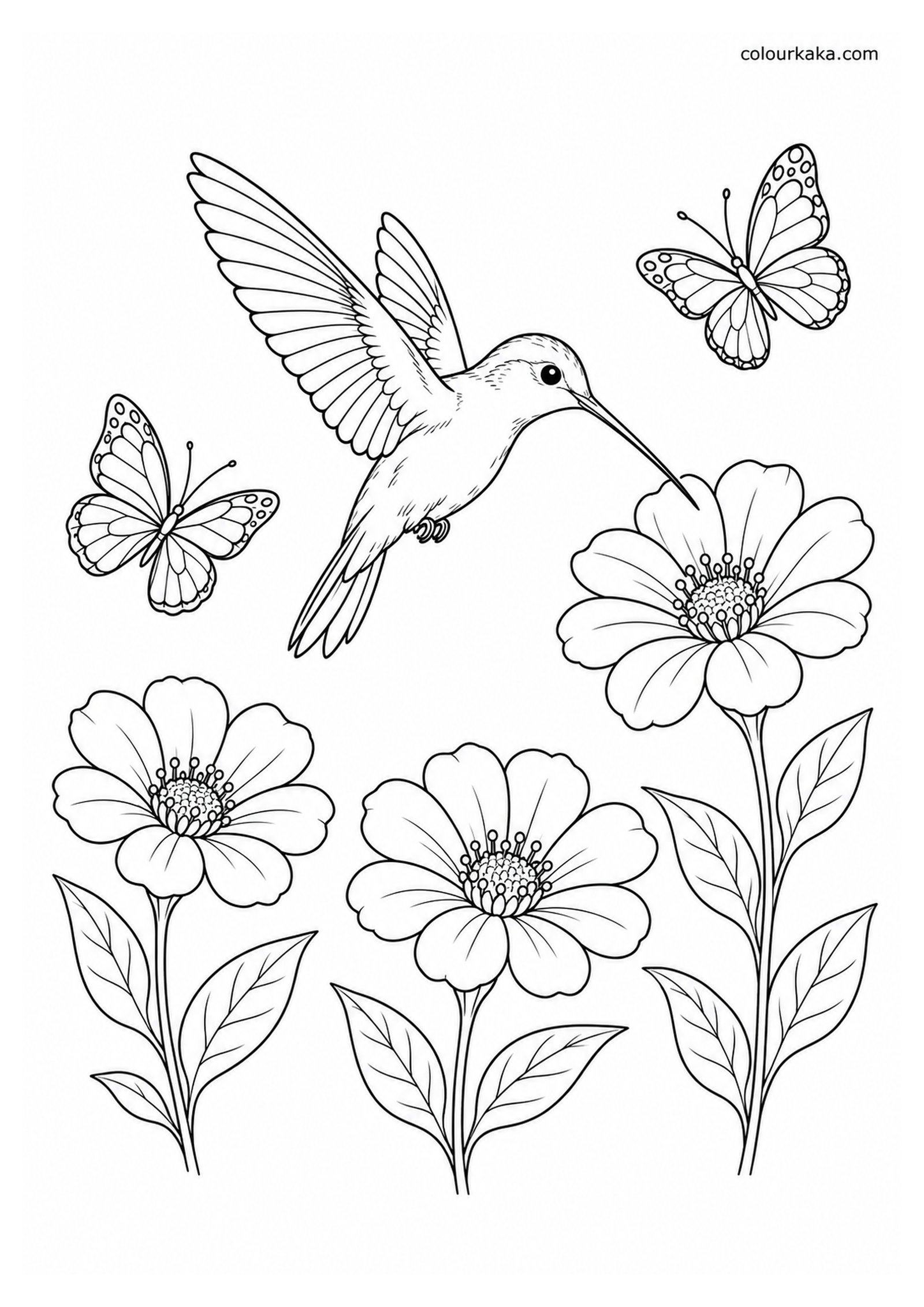 Hummingbird with Butterflies Colouring Page colouring page preview