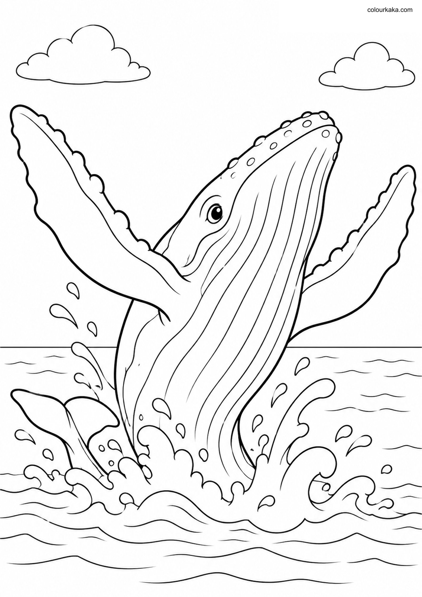 Humpback Whale Colouring colouring page preview