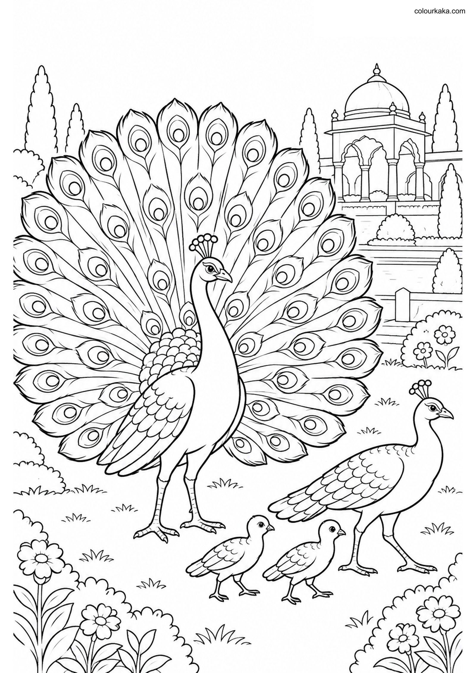 Indian Peafowl Family Page colouring page preview