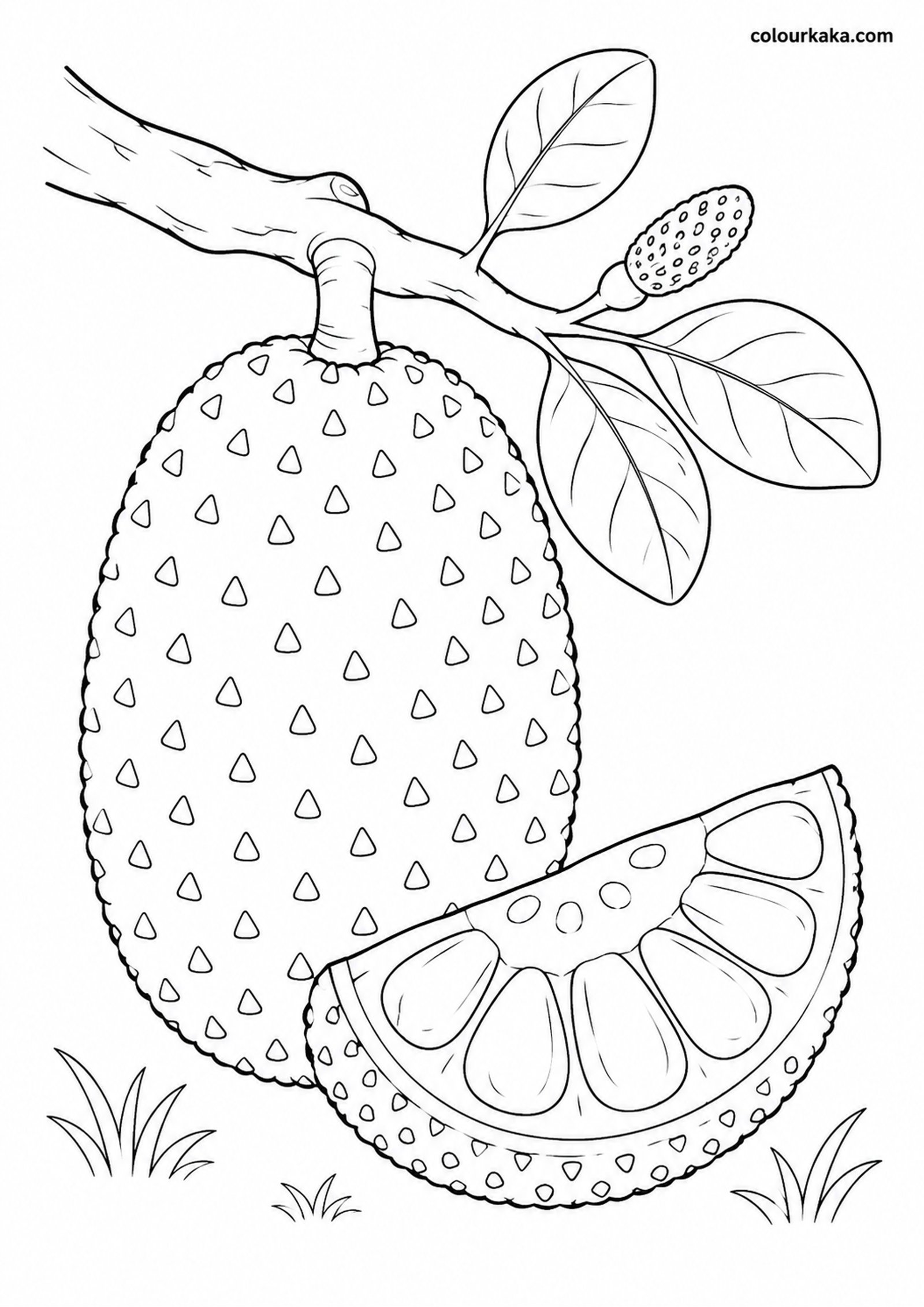 Jackfruit Tree Colouring Page colouring page preview