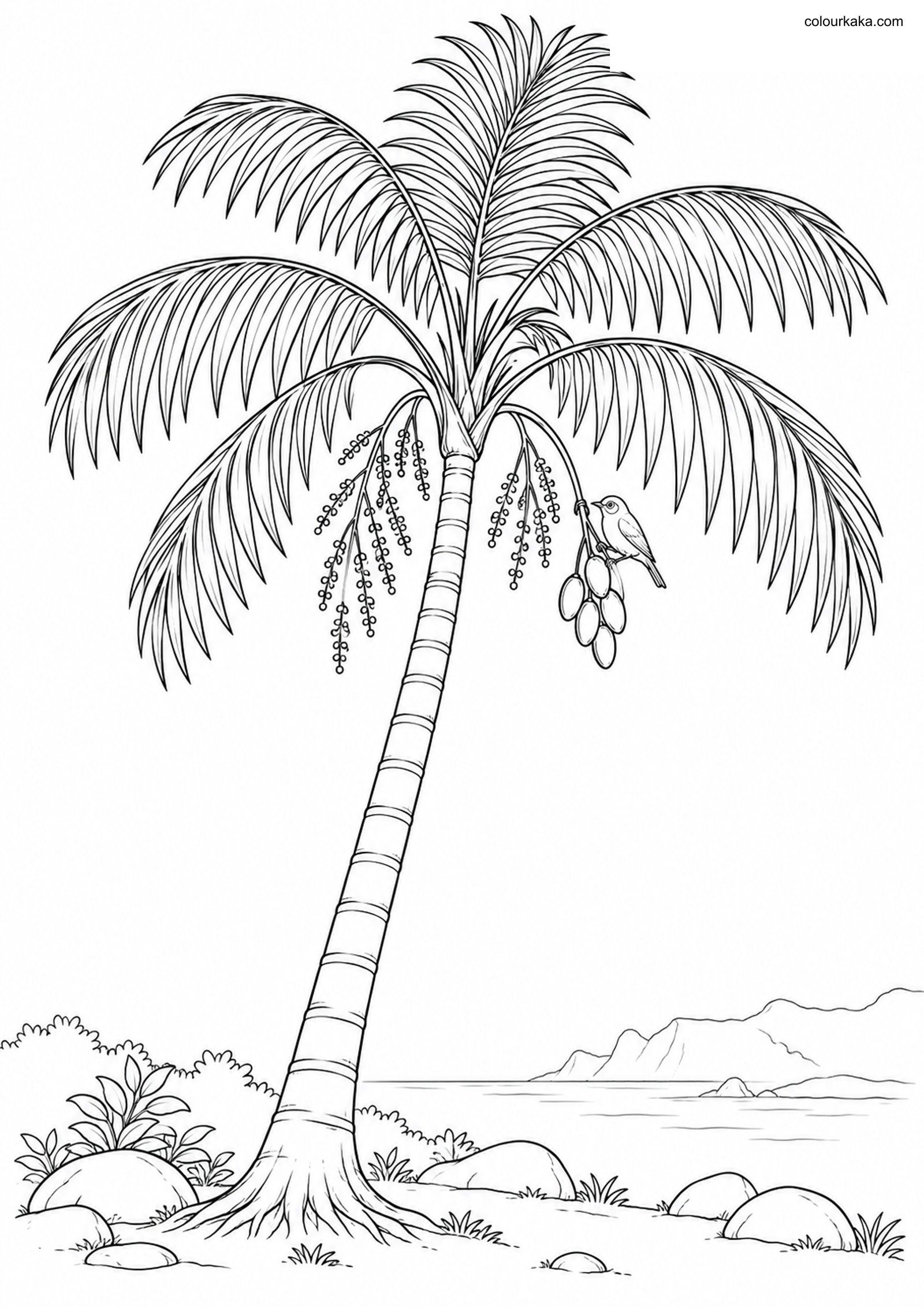 Kentia Palm Island Colouring colouring page preview