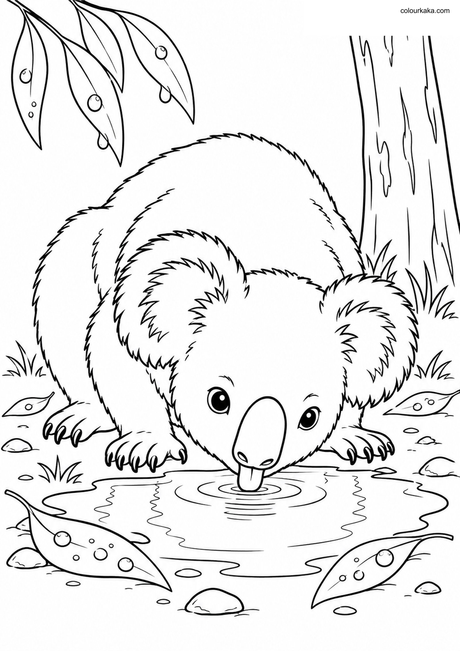 Koala After Rain Colouring colouring page preview