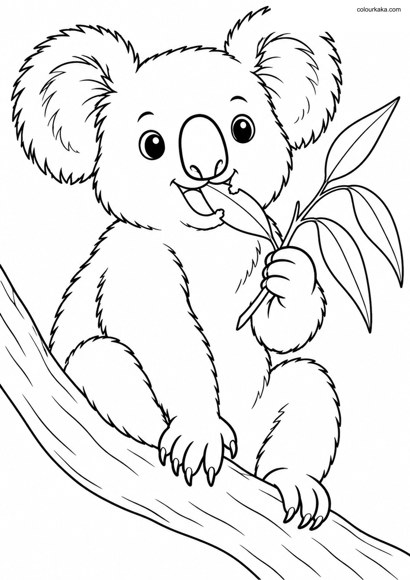 Koala Eating Leaves Colouring colouring page preview