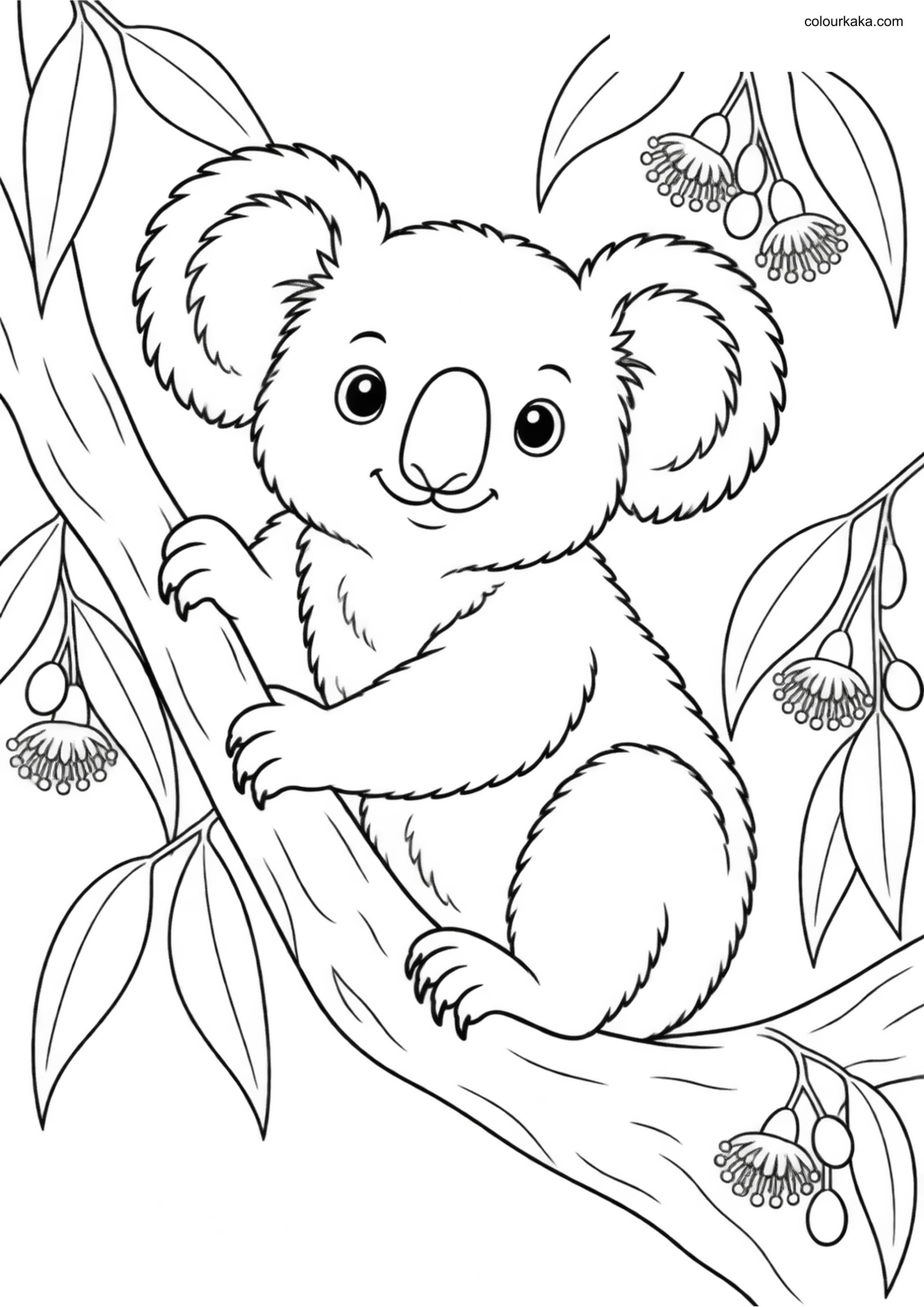 Koala Leaves and Flowers Page colouring page preview