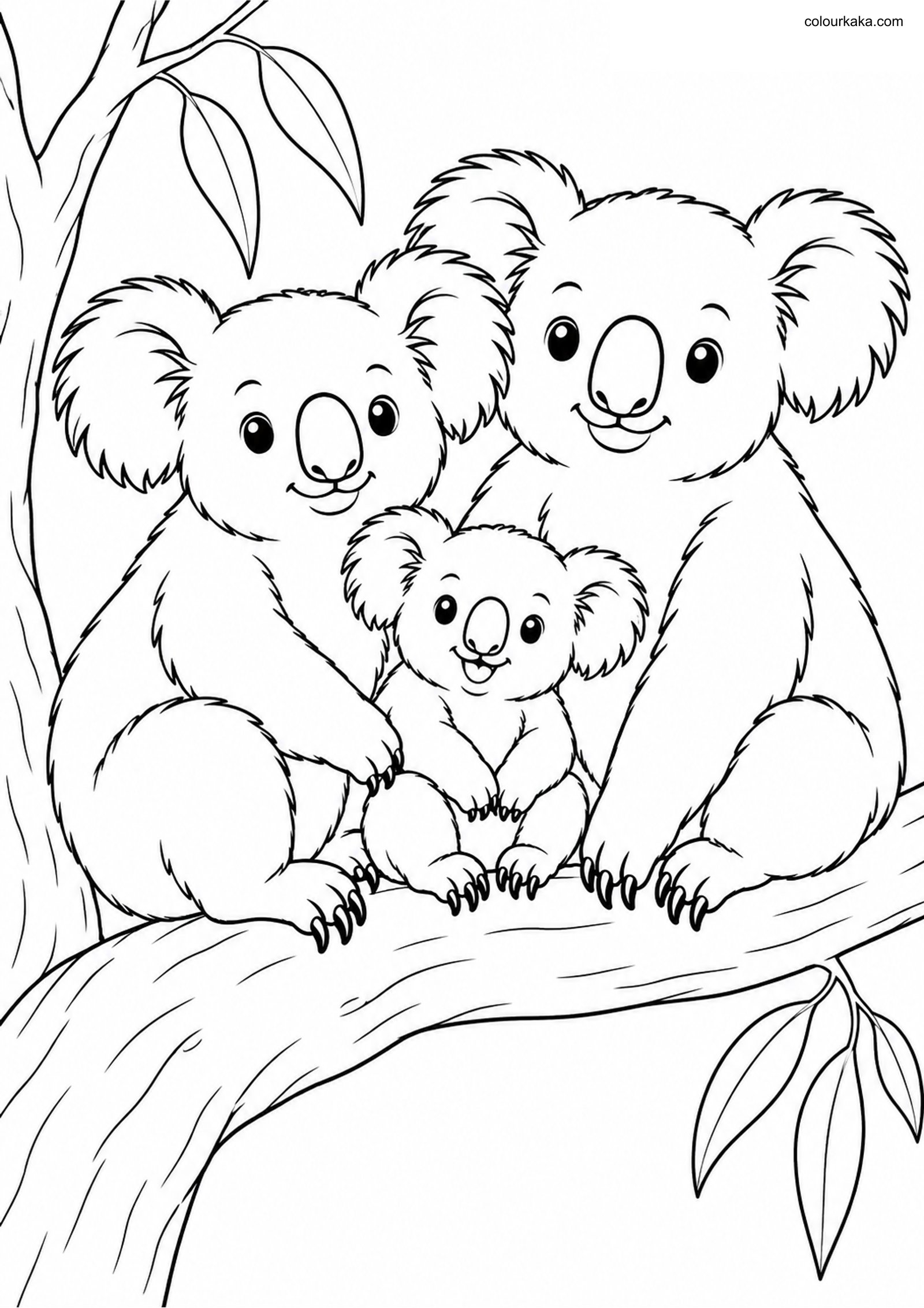 Koala Family Tree Colouring colouring page preview