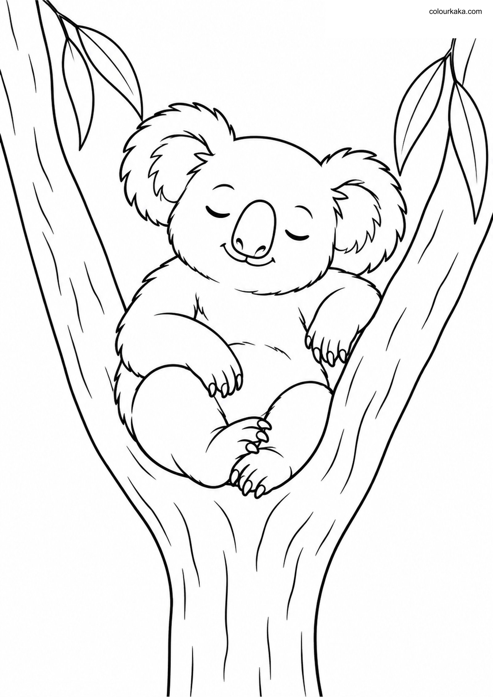 Resting Koala Colouring Page colouring page preview