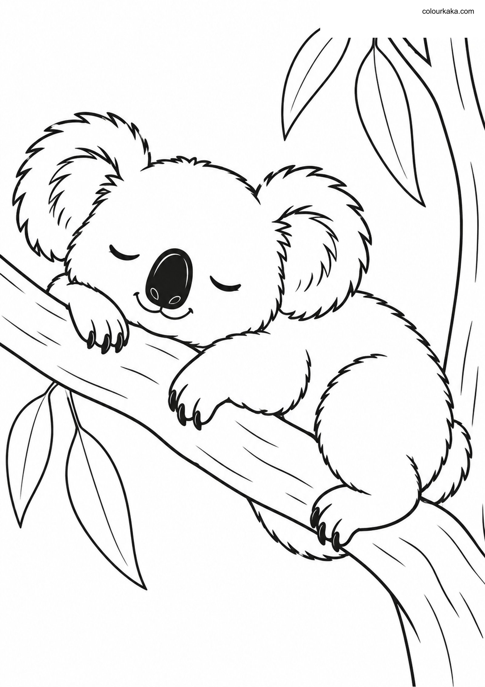 Sleeping Koala Colouring Page colouring page preview