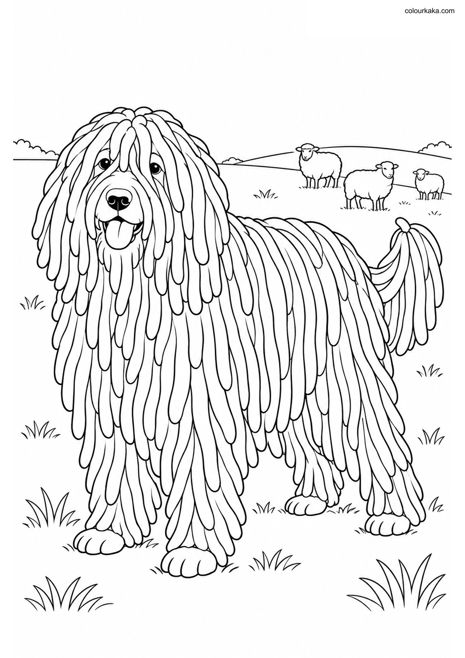 Komondor Sheepdog Coloring colouring page preview