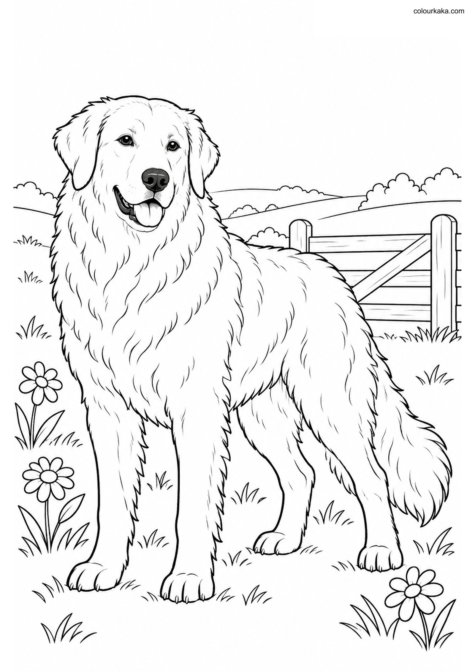 Kuvasz Meadow Coloring Page colouring page preview