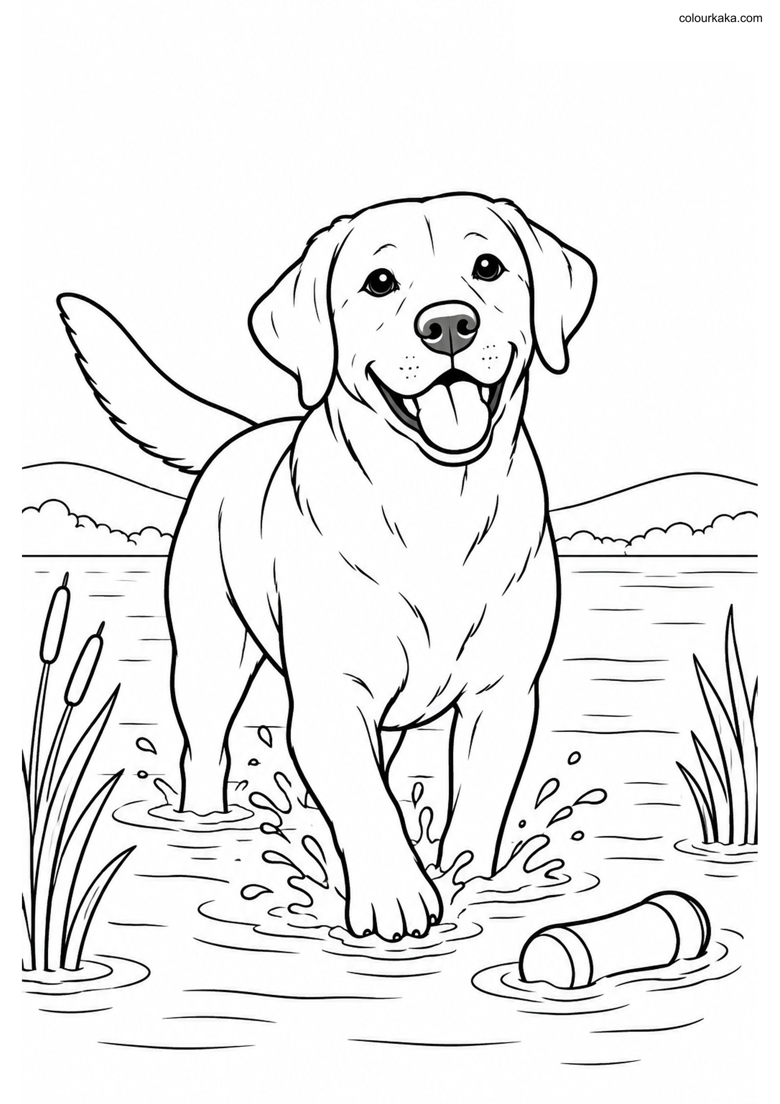 Labrador Retriever Kids Page colouring page preview