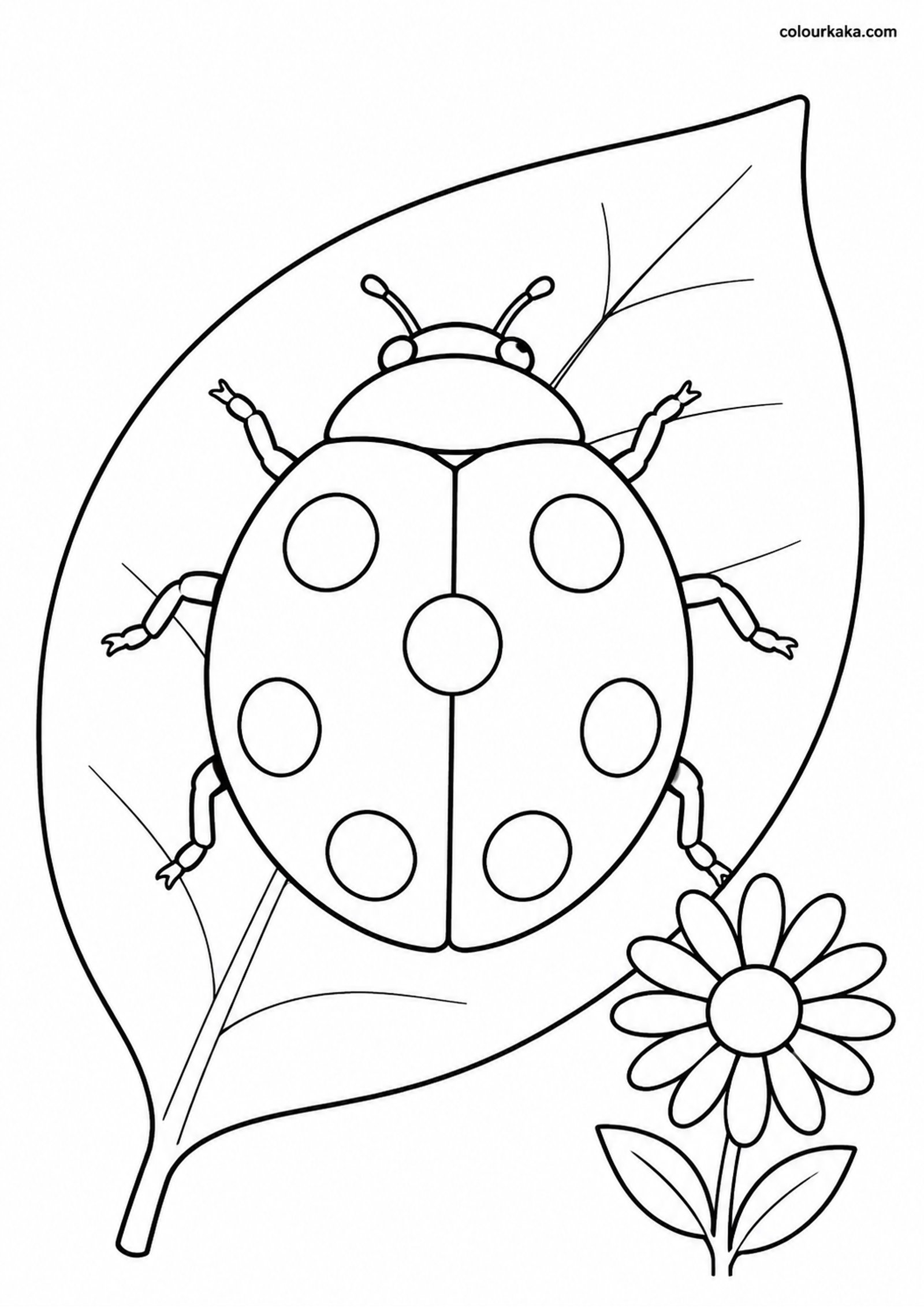 Ladybug Garden Colouring Page colouring page preview