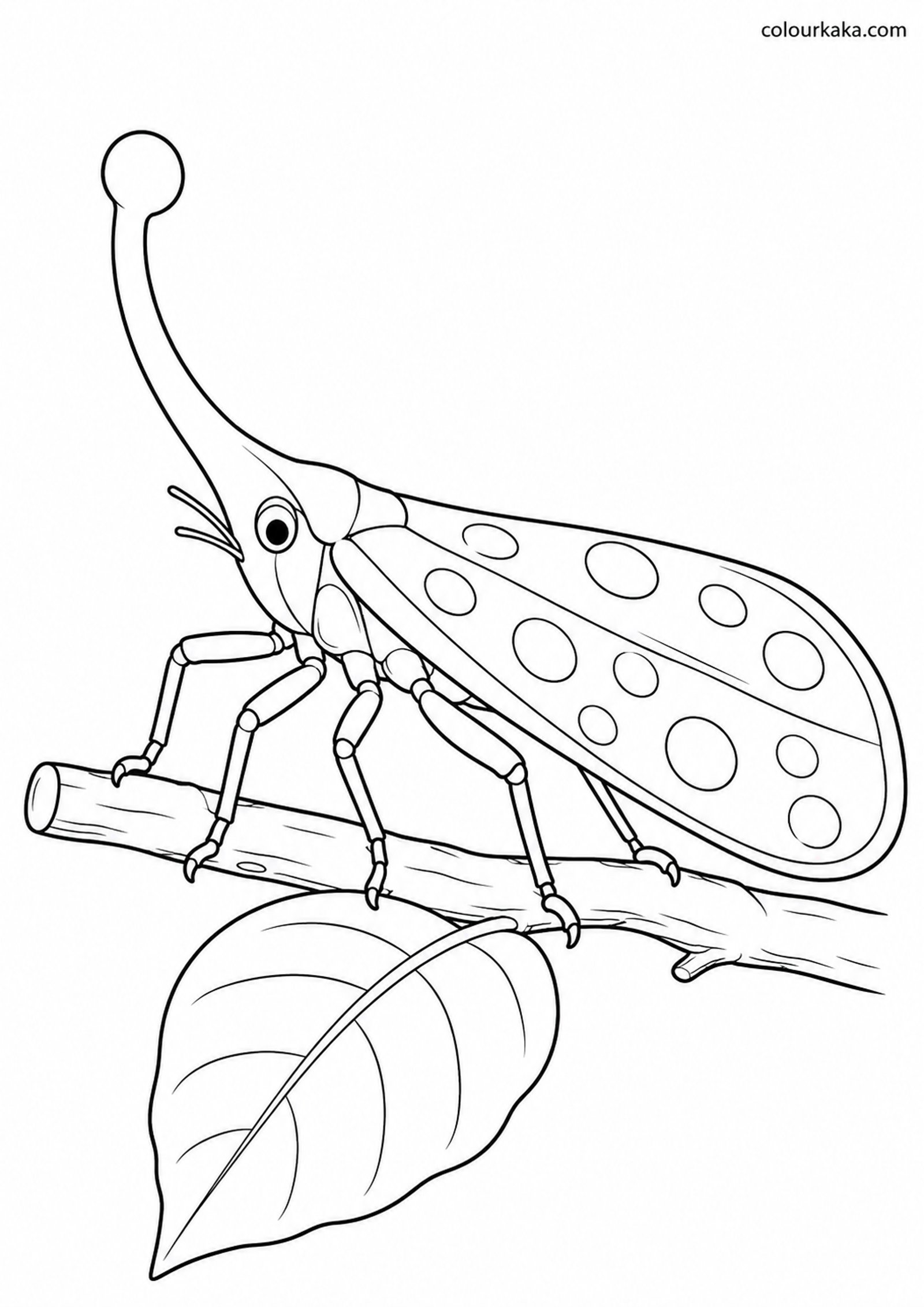 Lanternfly Tropical Colouring colouring page preview