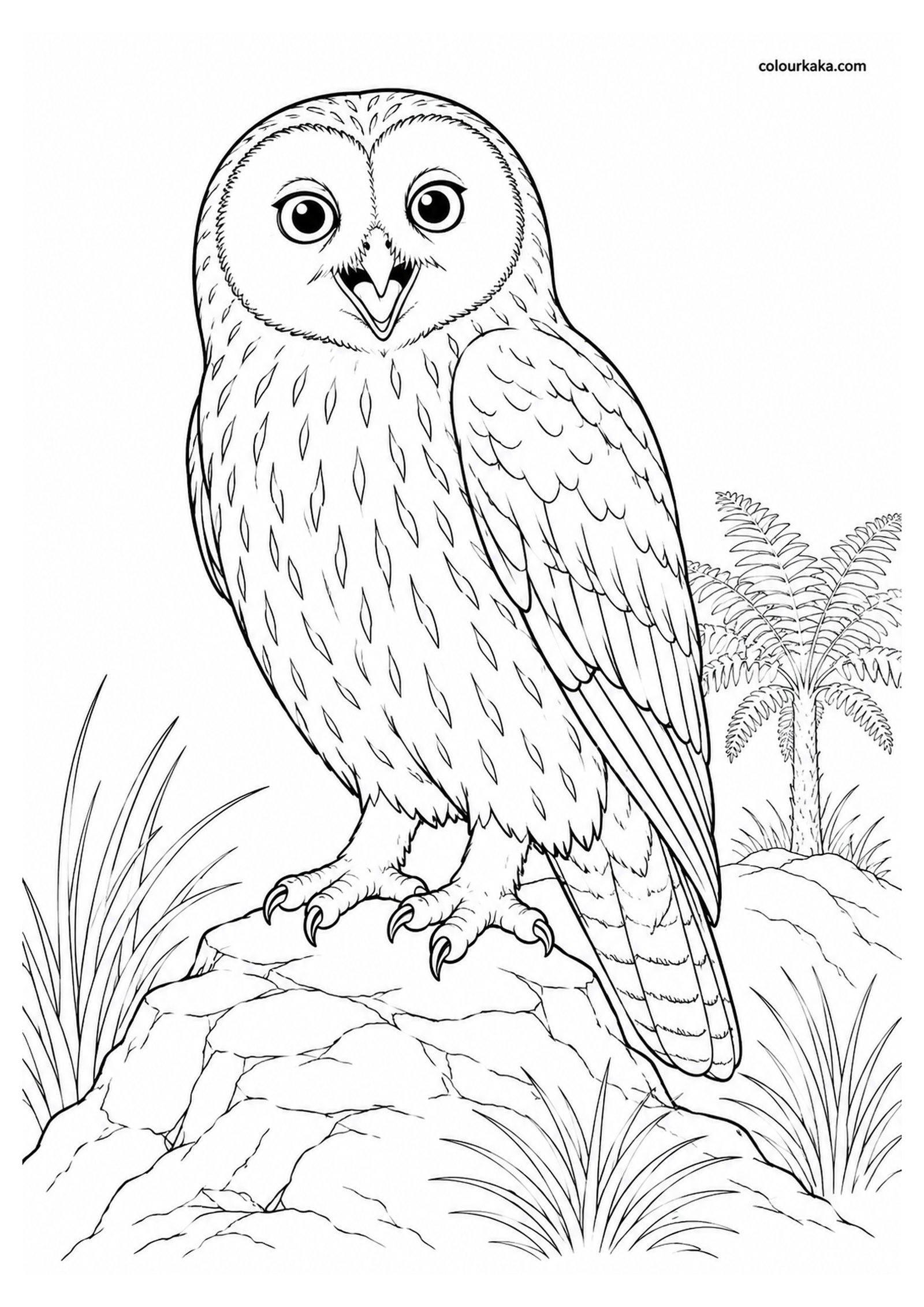 Laughing Owl Colouring Page colouring page preview