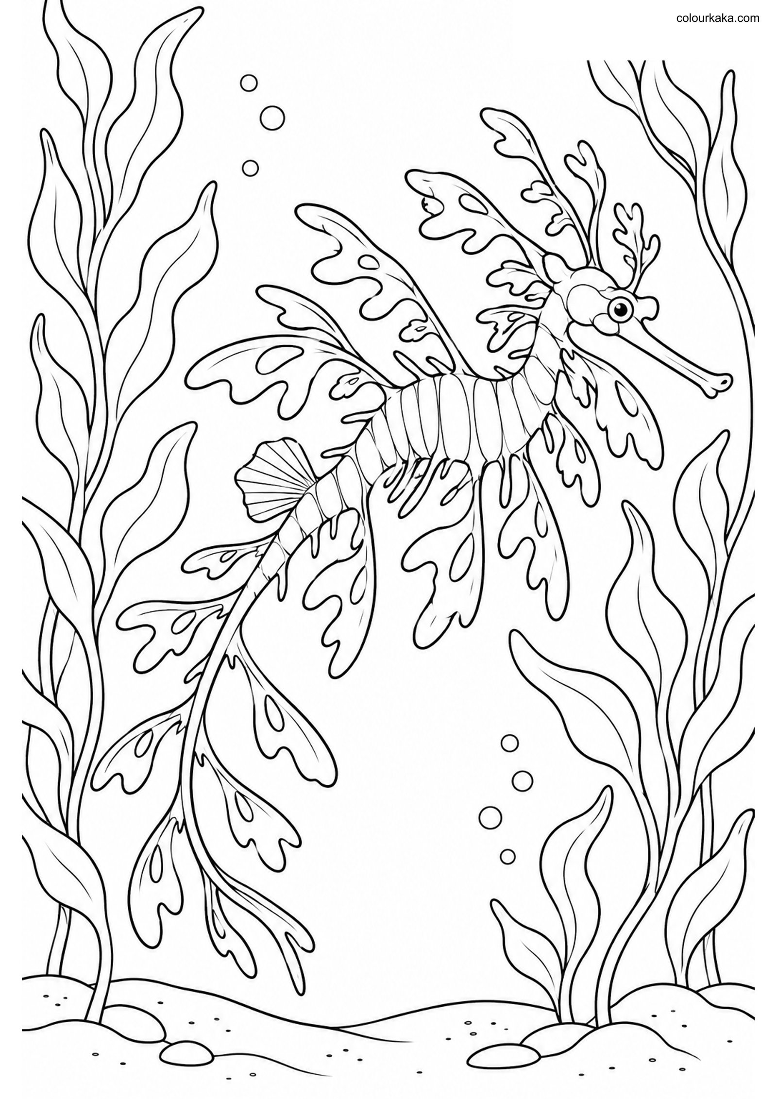 Leafy Seadragon Colouring Page colouring page preview