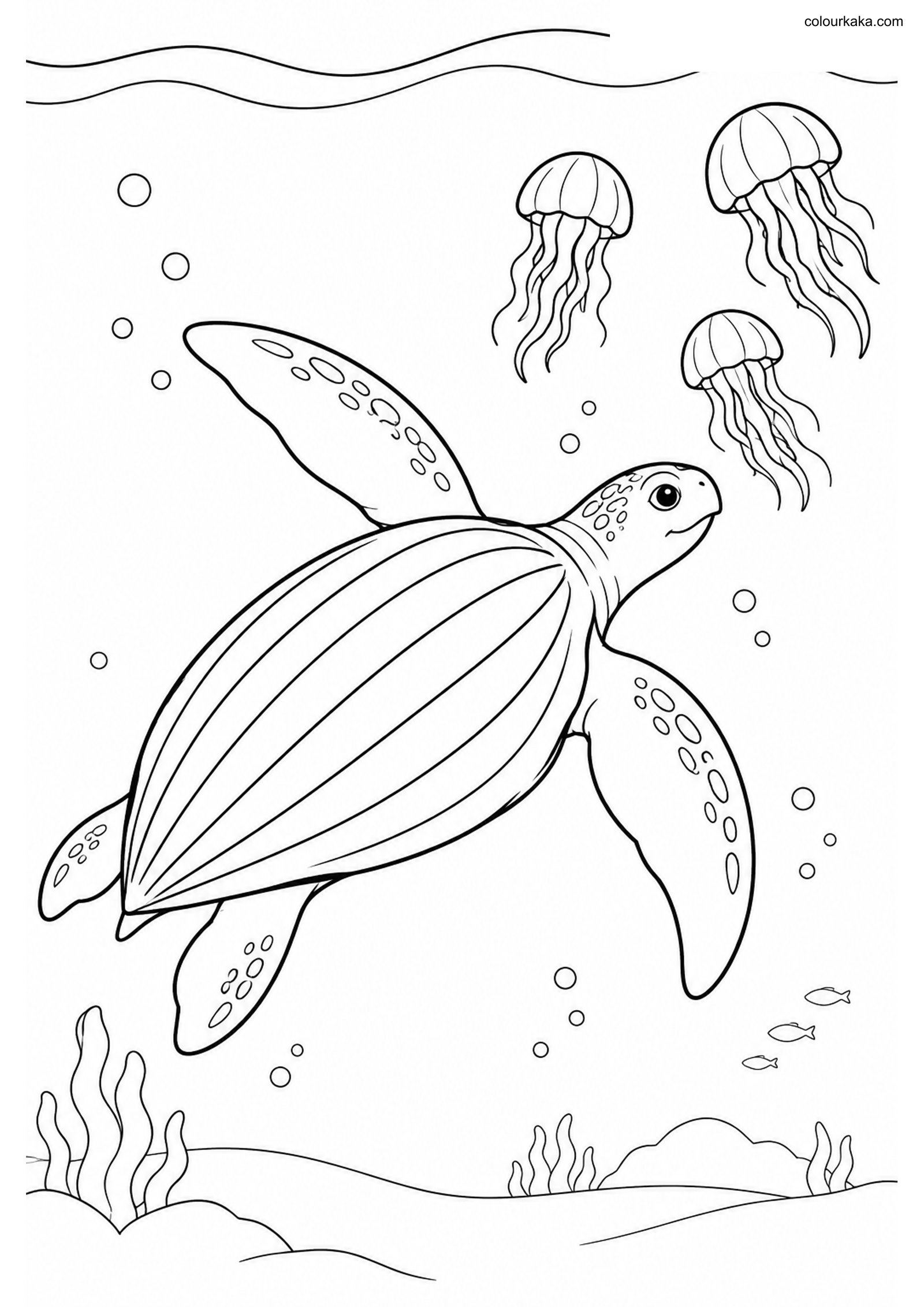 Leatherback Turtle Colouring colouring page preview
