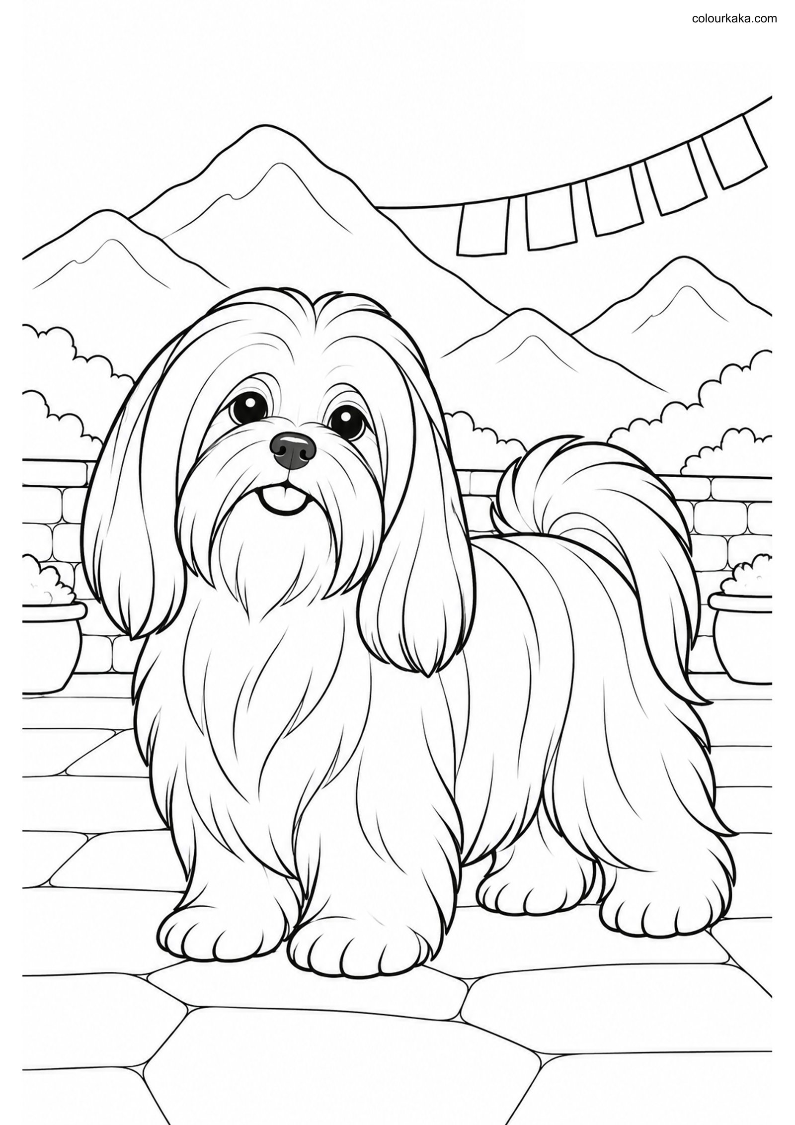 Lhasa Apso Colouring Sheet colouring page preview