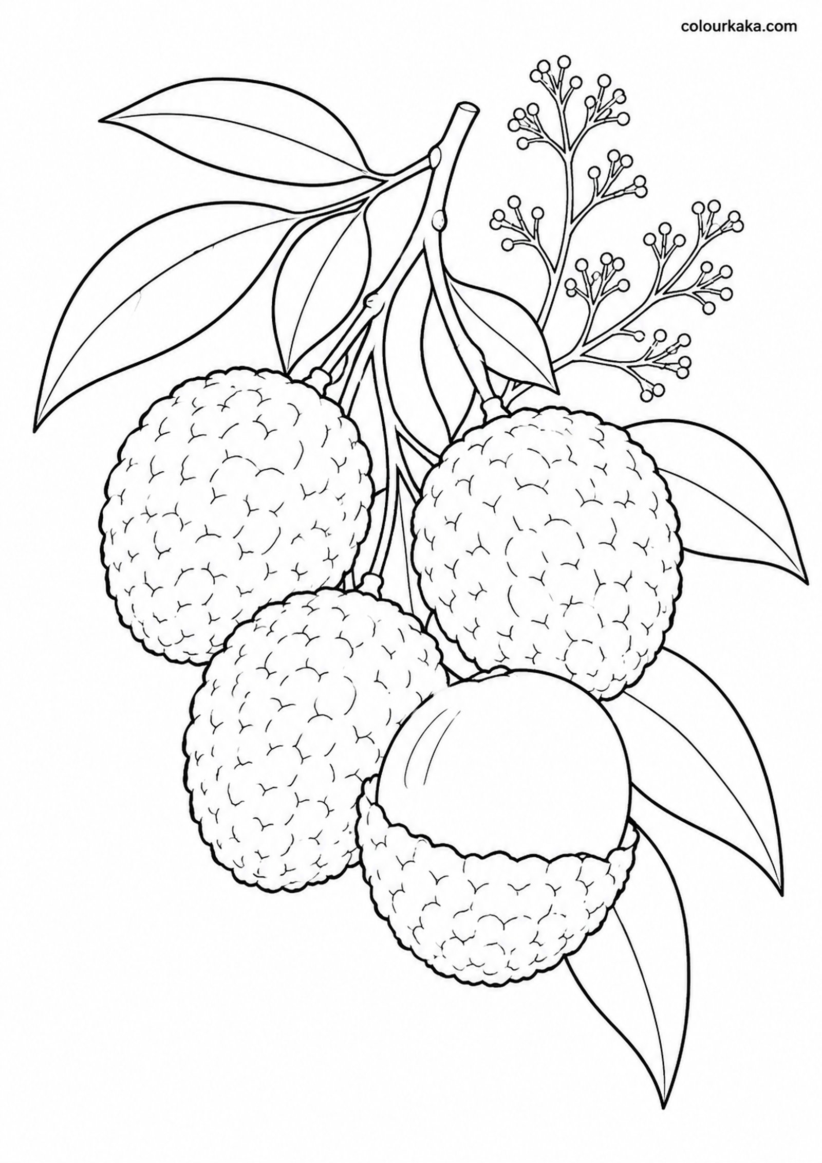 Lychee Bunch Colouring Page colouring page preview