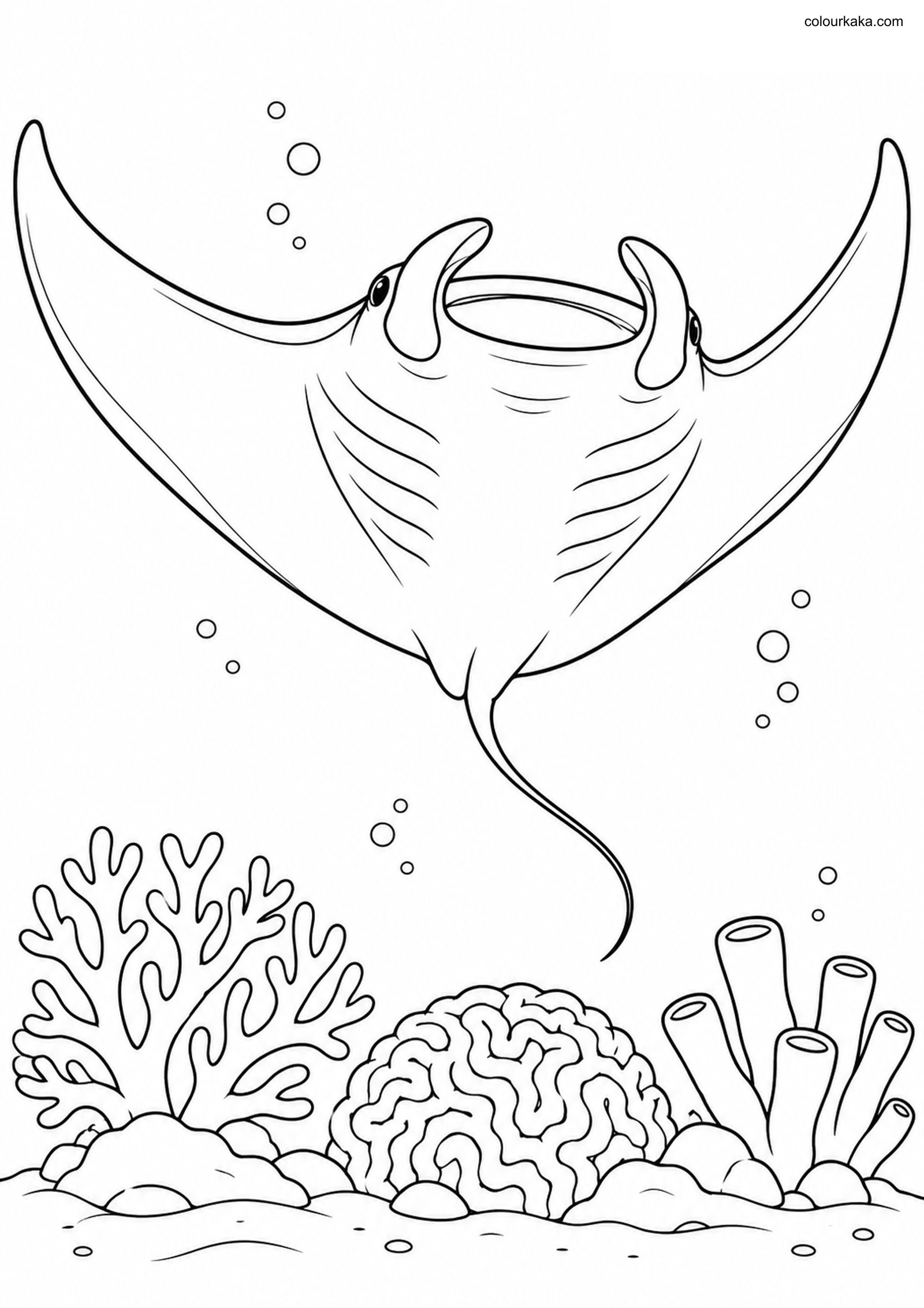 Manta Ray Colouring Page colouring page preview