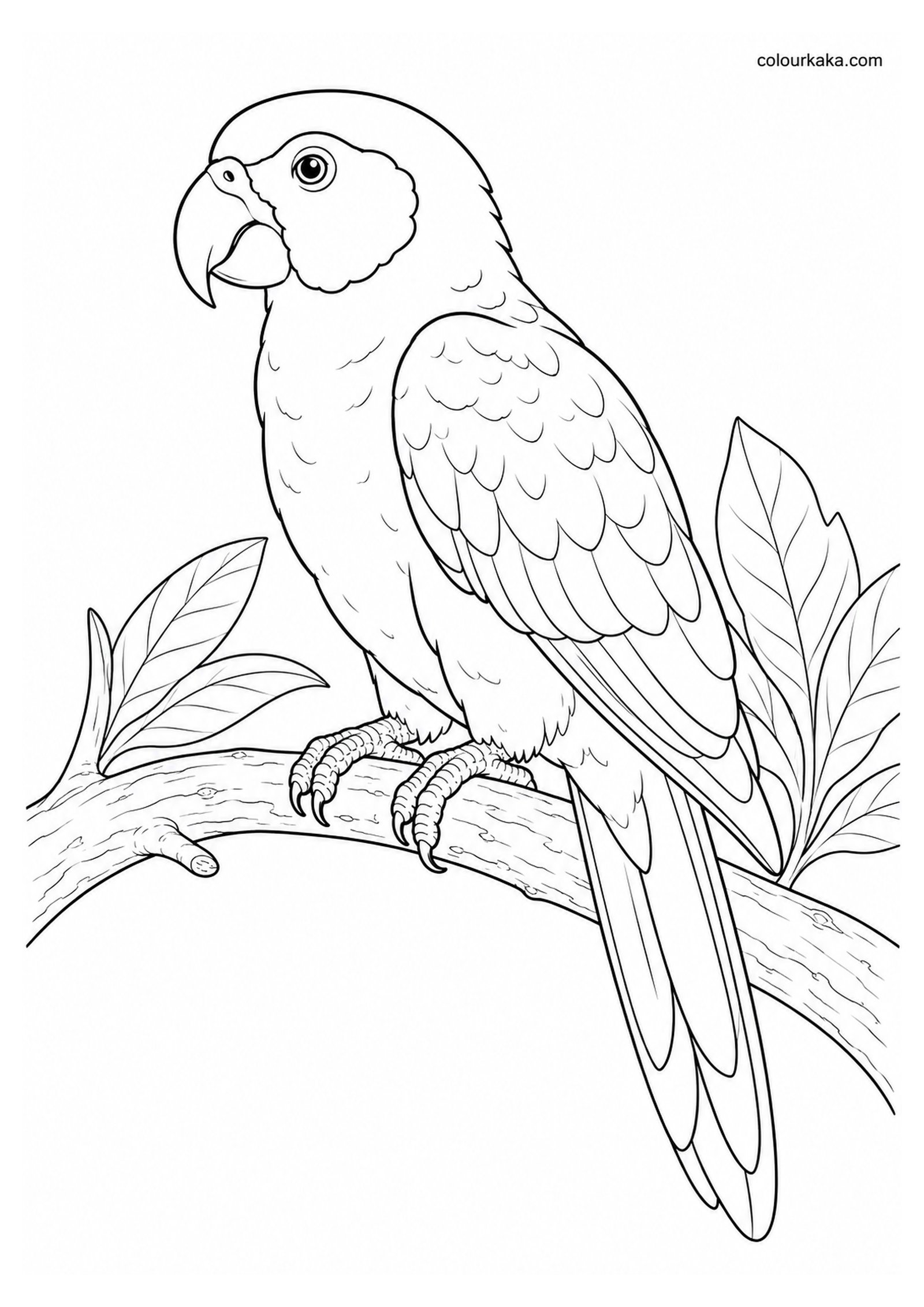 Mascarene Parrot Colouring Page colouring page preview