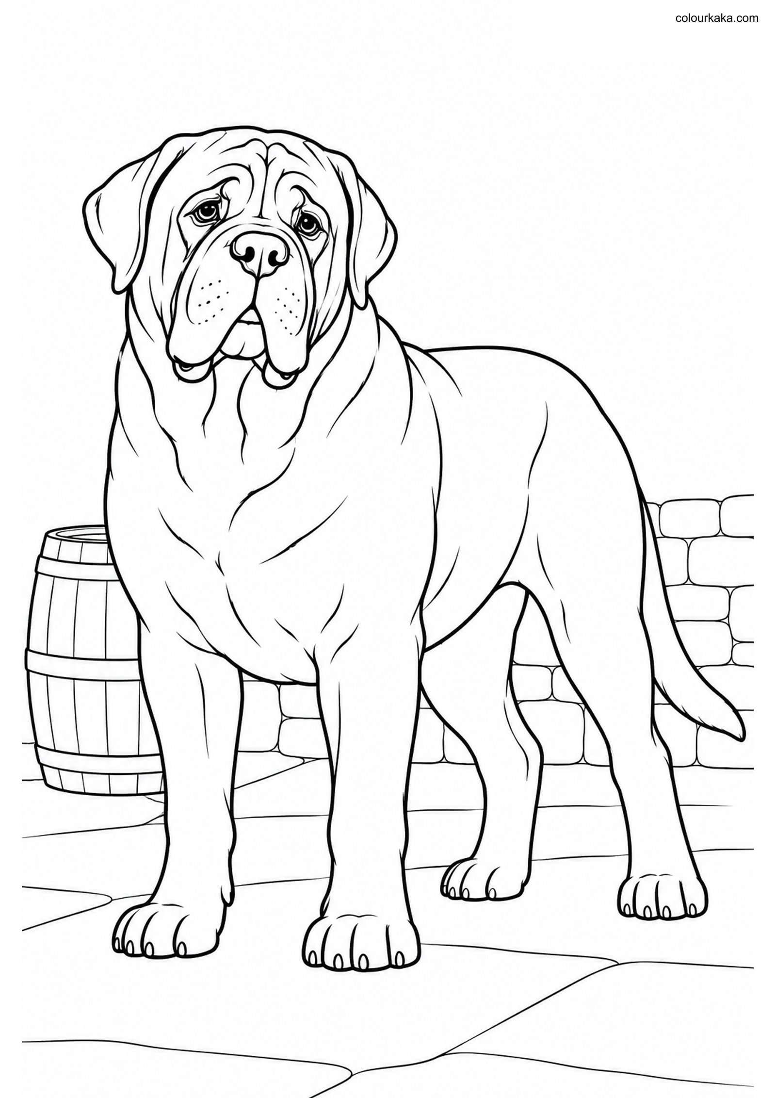 English Mastiff Coloring Page colouring page preview