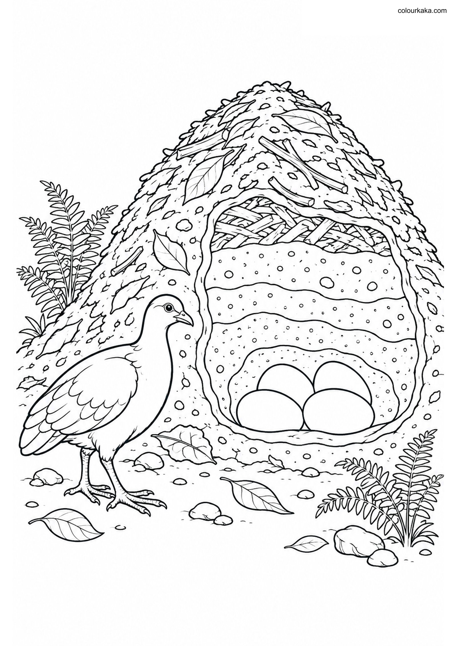 Megapode Mound Nest Colouring colouring page preview