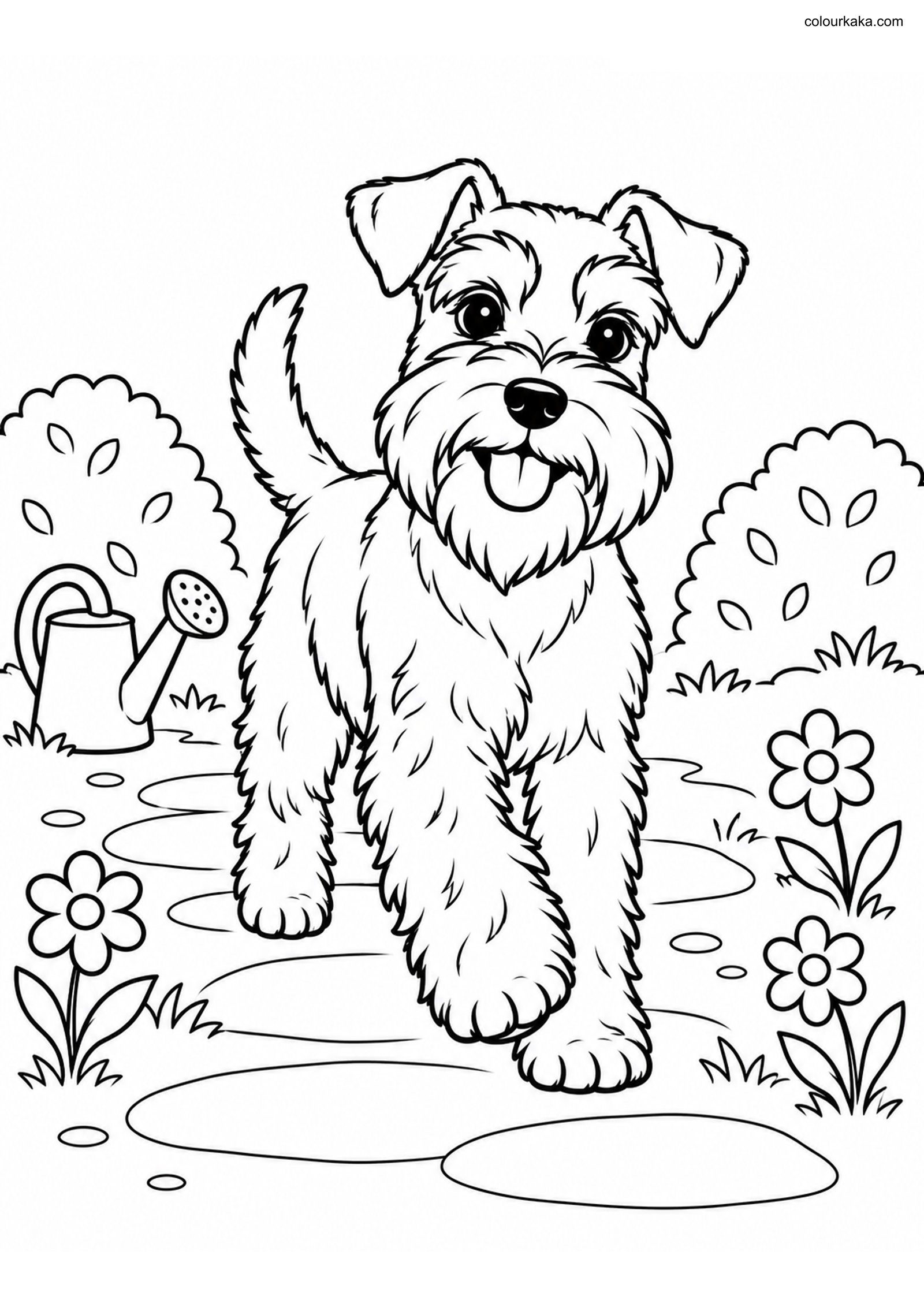 Mini Schnauzer Colouring Page colouring page preview