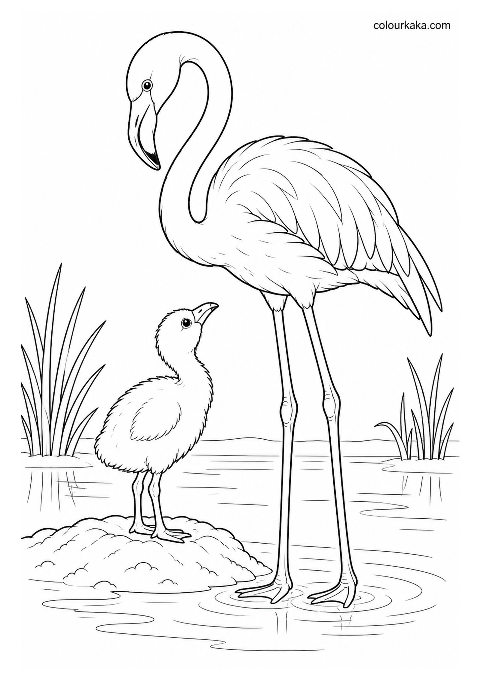 Mother Flamingo with Her Chick Colouring Page colouring page preview