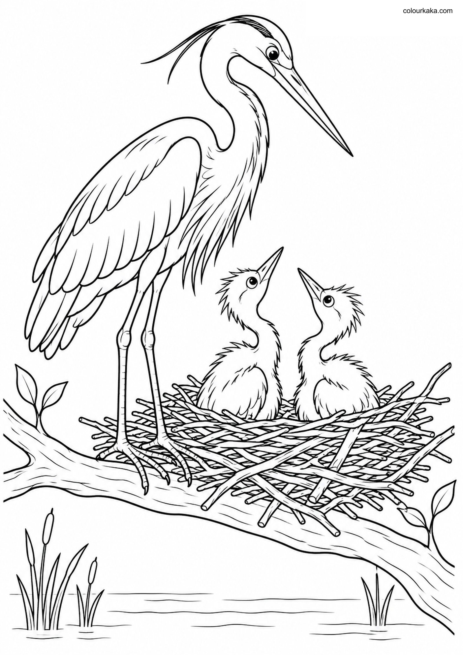 Mother Heron and Chicks Page colouring page preview