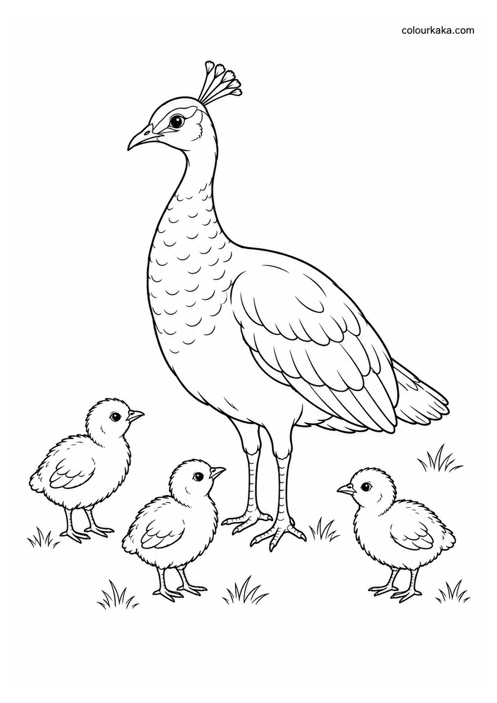 Mother Peacock with Chicks Colouring Page colouring page preview
