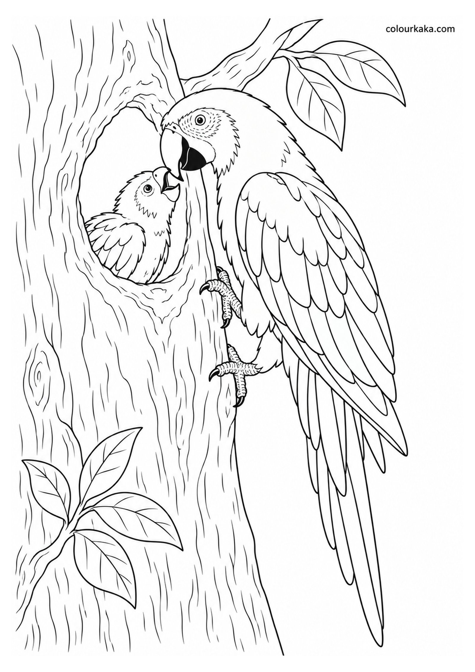 Mother Scarlet Macaw Feeding Her Chick Colouring Page colouring page preview