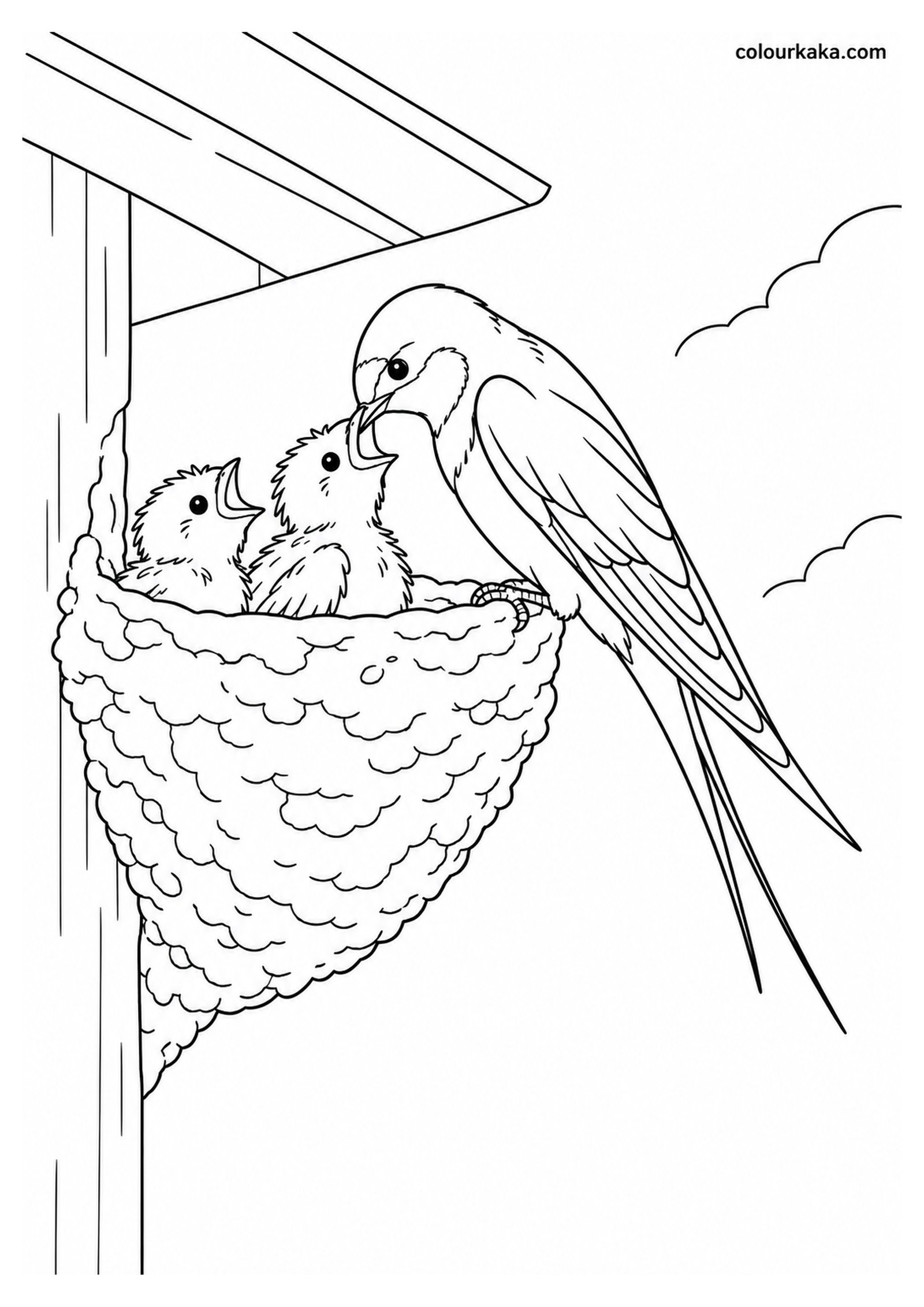 Mother Swallow Feeding Its Chicks Colouring Page colouring page preview