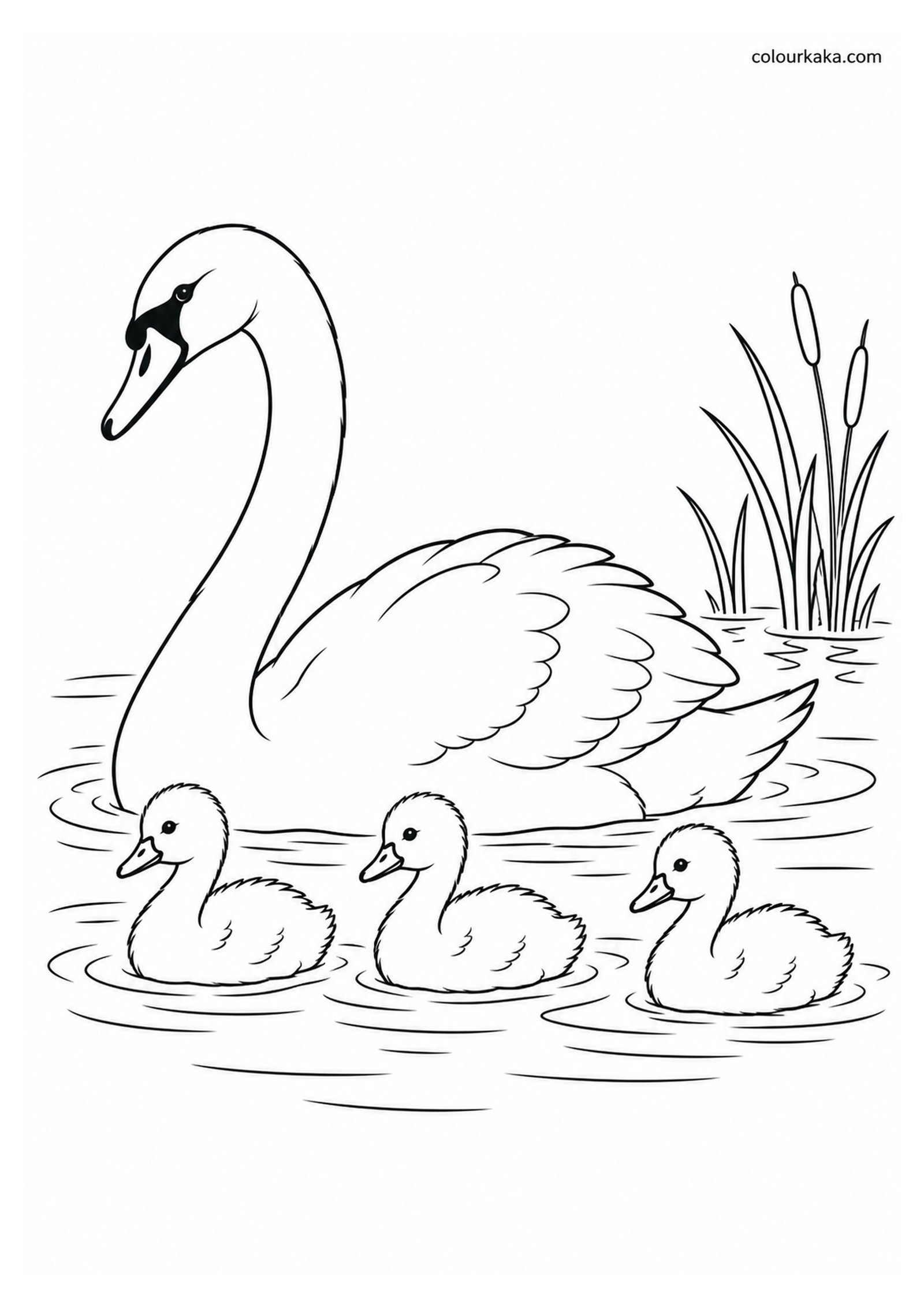 Mother Swan with Chicks Colouring colouring page preview