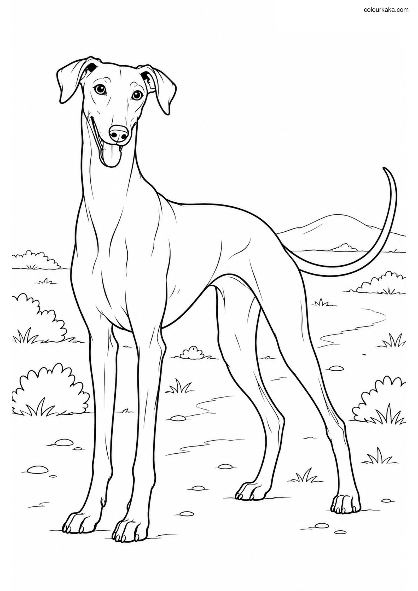 Mudhol Hound Trail Coloring colouring page preview